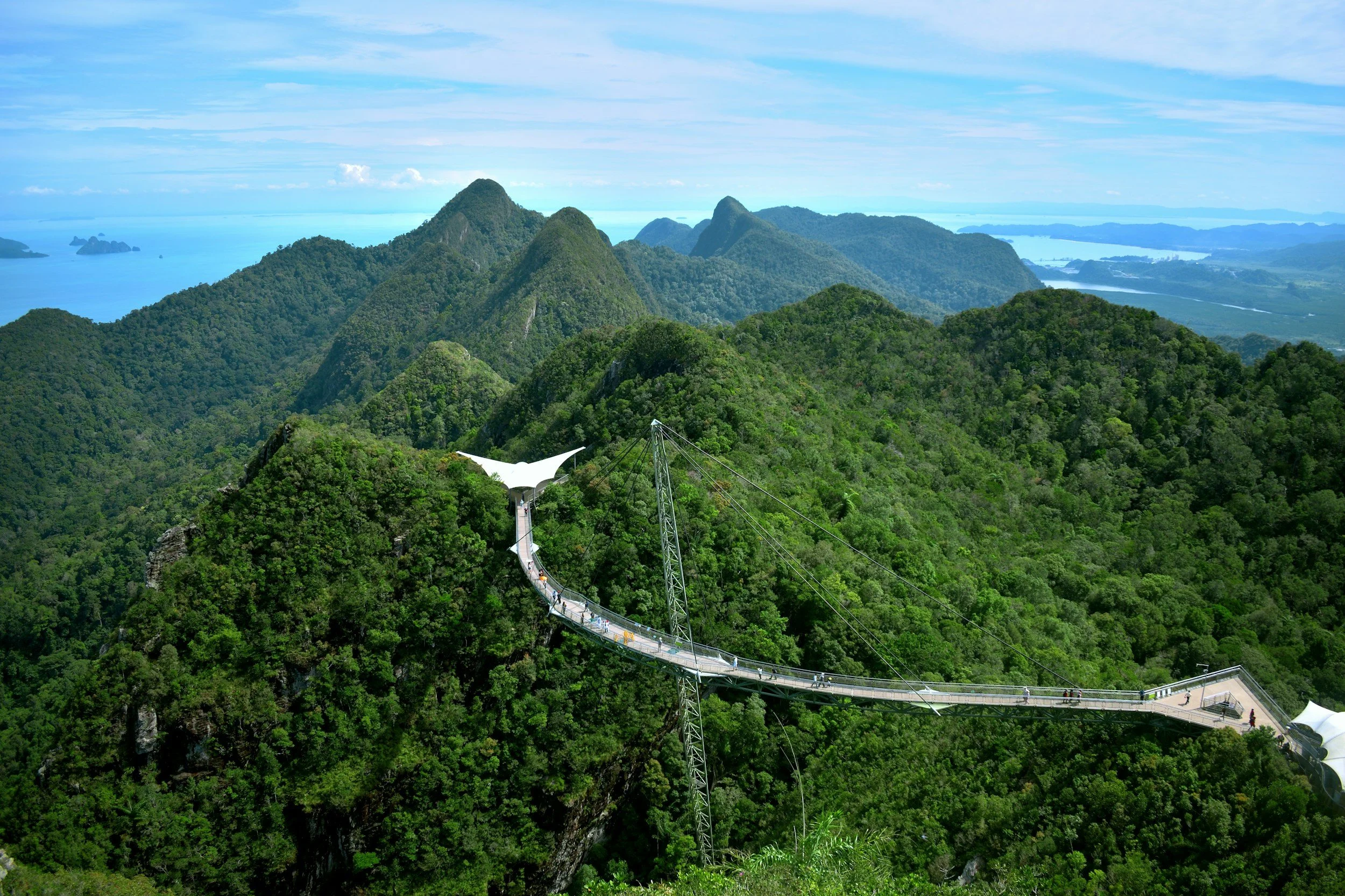 A forested mountain landscape with a pedestrian bridge suspended over the trees, and distant mountains and water in the background.