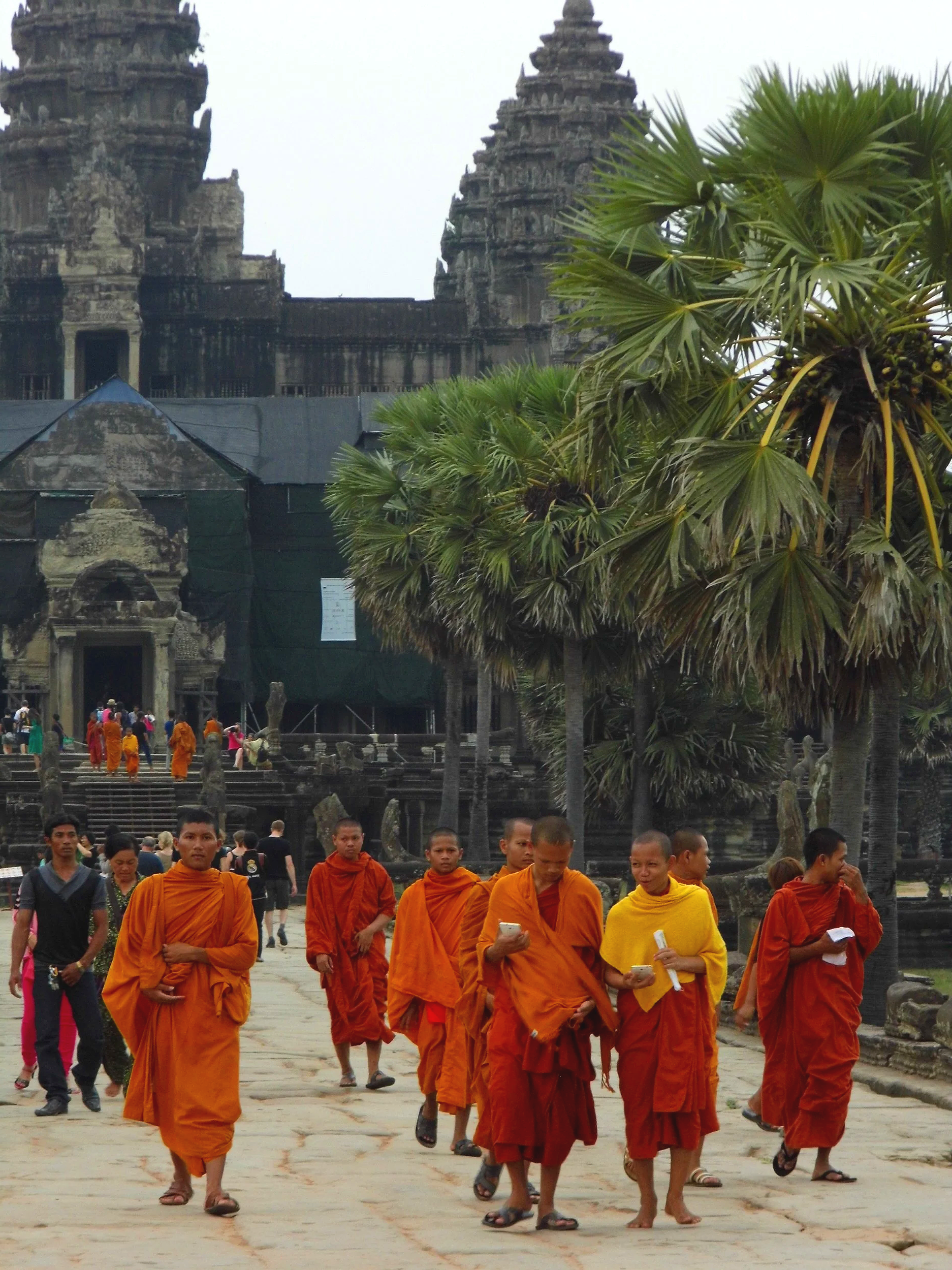 A group of Buddhist monks in orange robes walking in a historic temple complex with stone structures and lush palm trees.