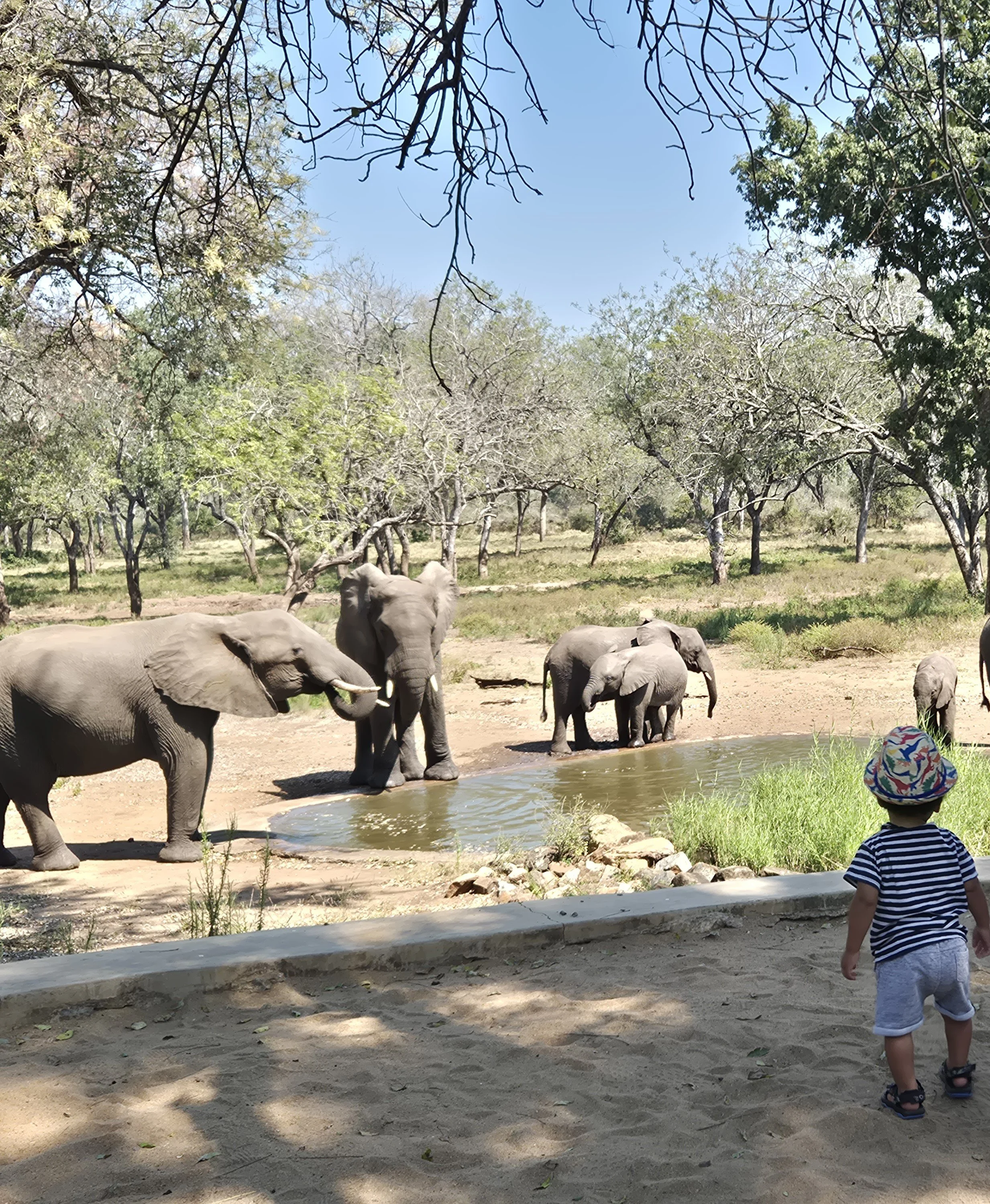 Safari with Young Children: Our Family&nbsp;Adventure in Malawi