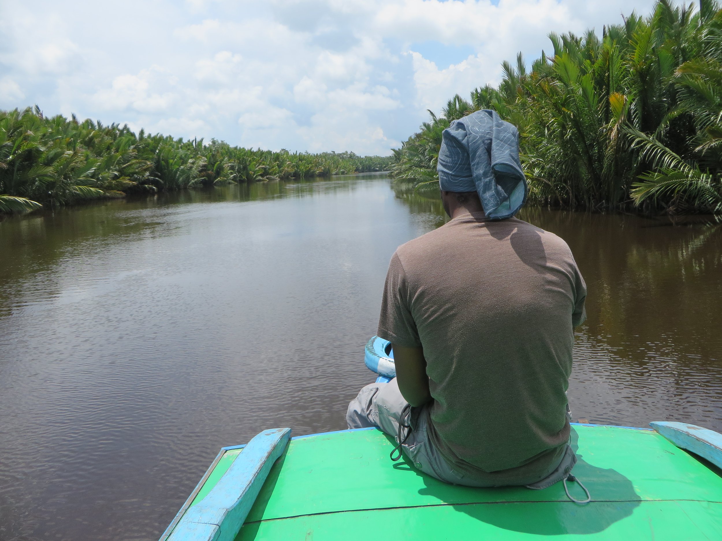 Person sitting on a boat in a river surrounded by lush green plants and palm trees, with a cloudy sky overhead.