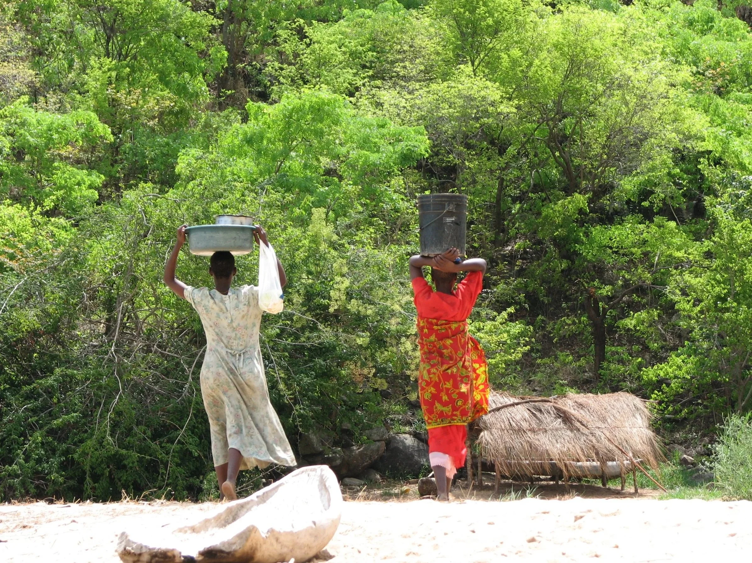 Two women walking across a rural area with lush green trees in the background, each carrying a large container on their head.