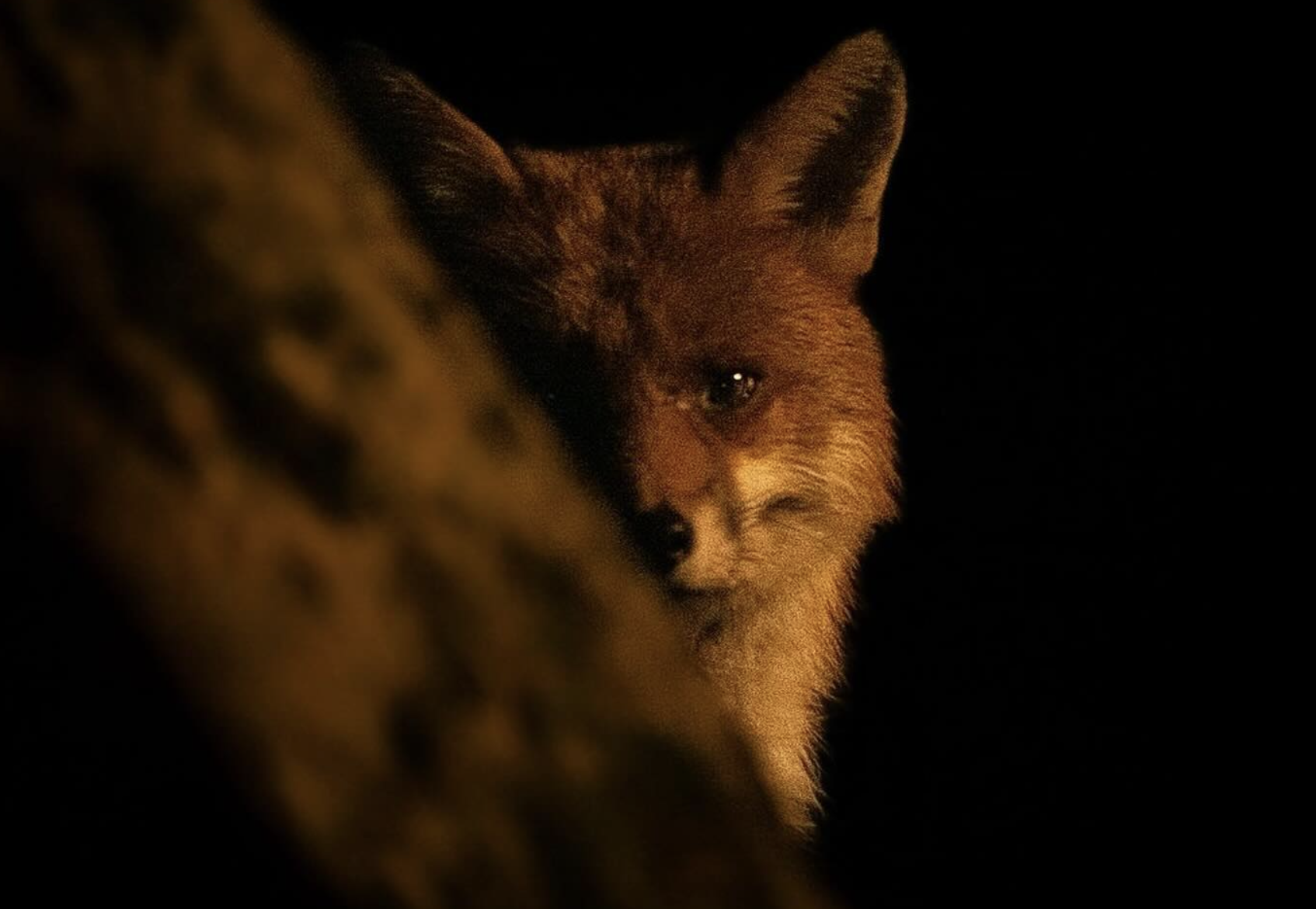 Secrets of the Southwest (2026)