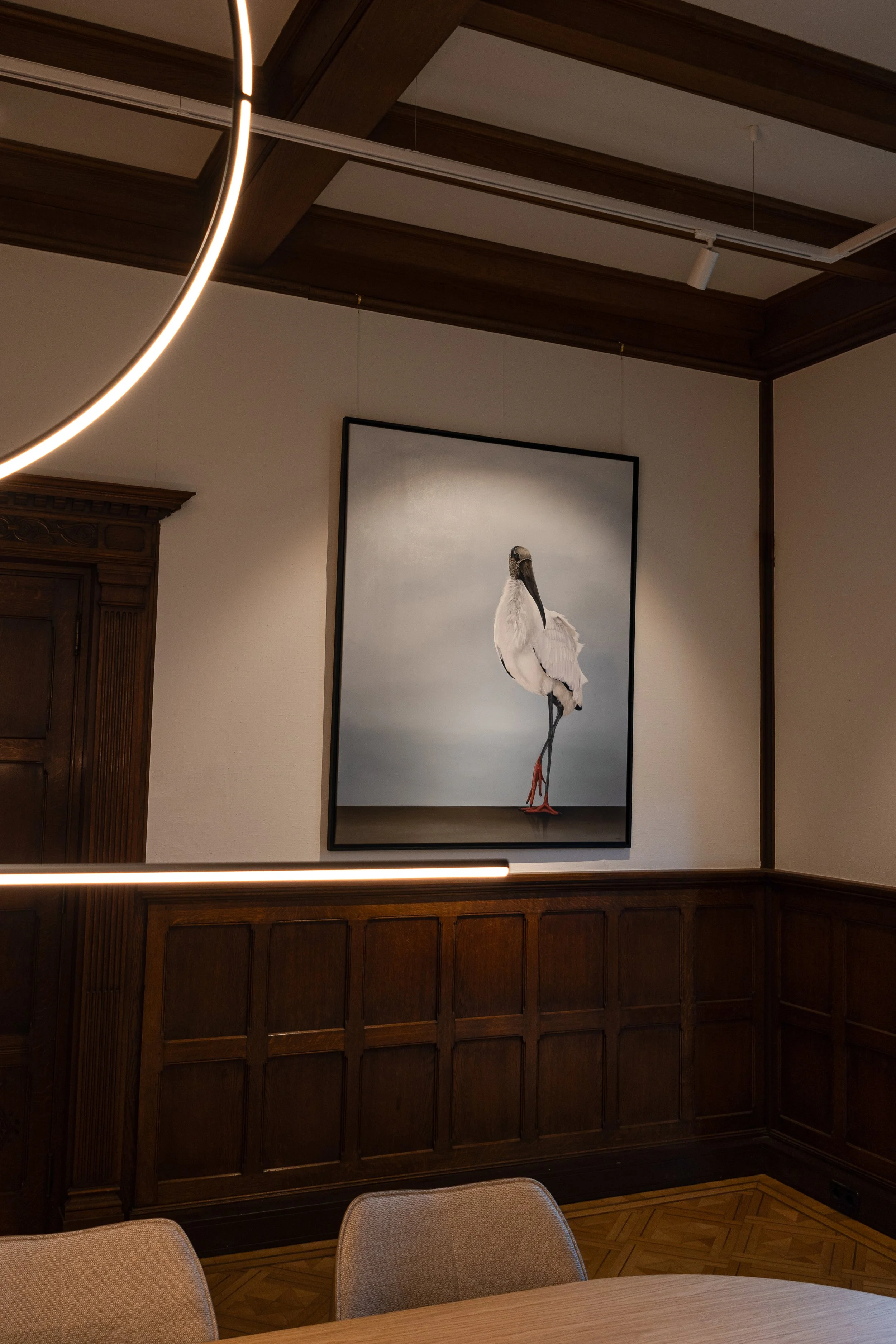 IMG_0753-Edit (1).jpg