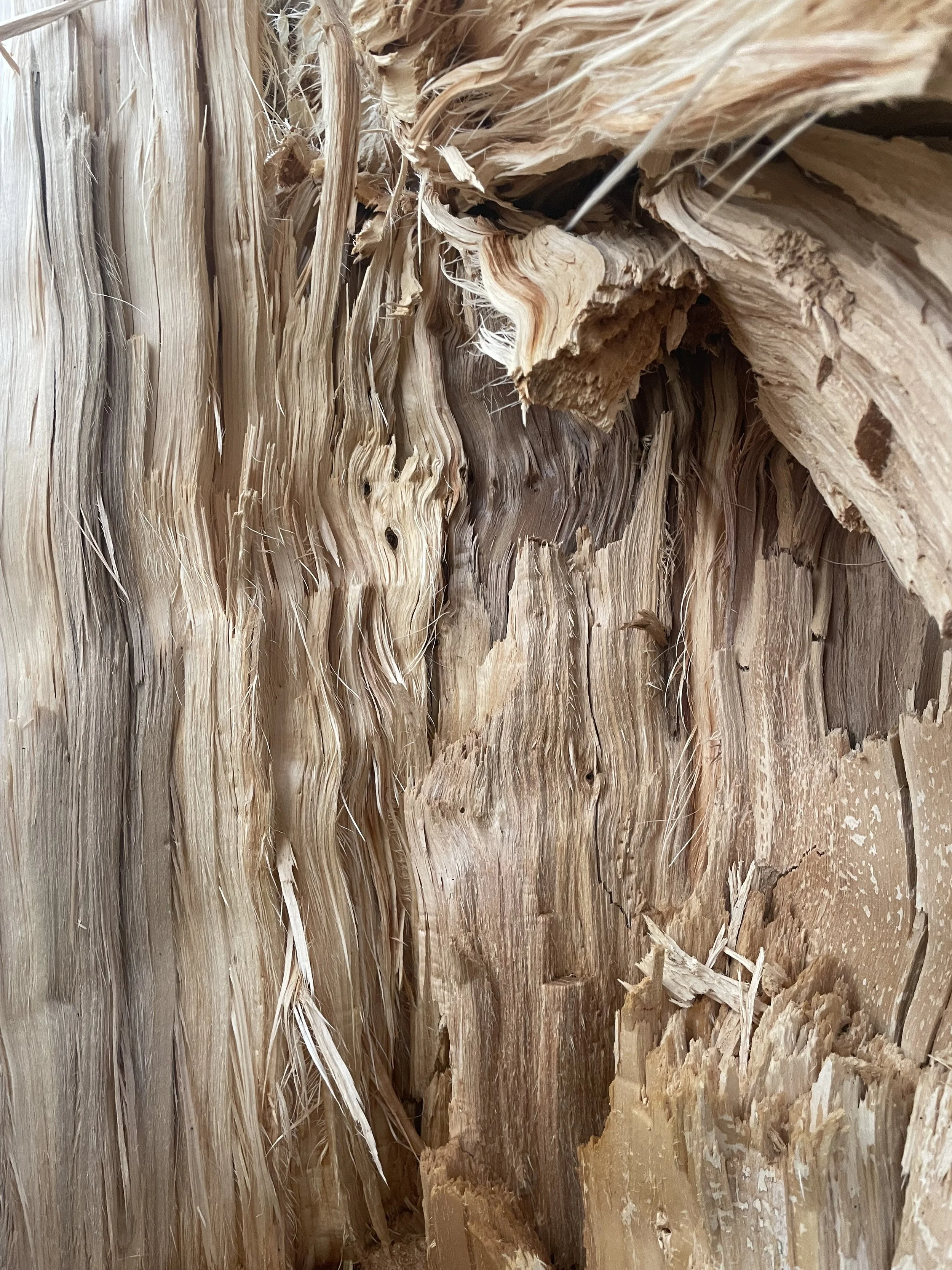 Close-up of damaged, peeling wood with rough, splintered surface and layered texture.