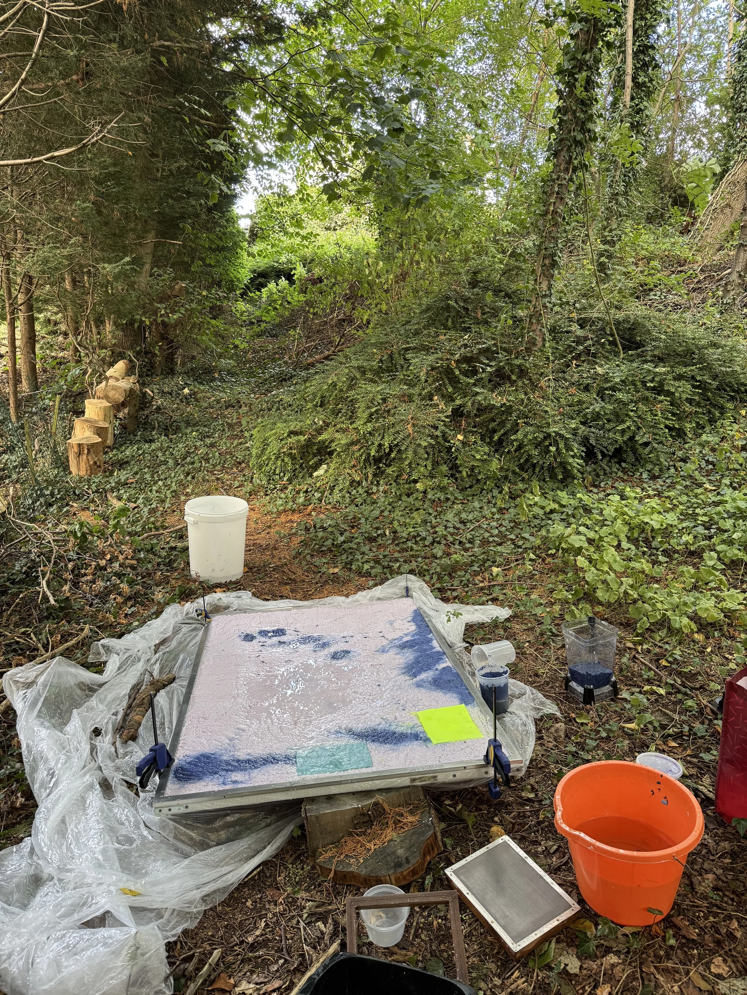 A science experiment setup outdoors in a wooded area. There is a flat surface with a white powder or substance, clamps, plastic sheeting, containers with dark liquid, a bucket, and other lab equipment.