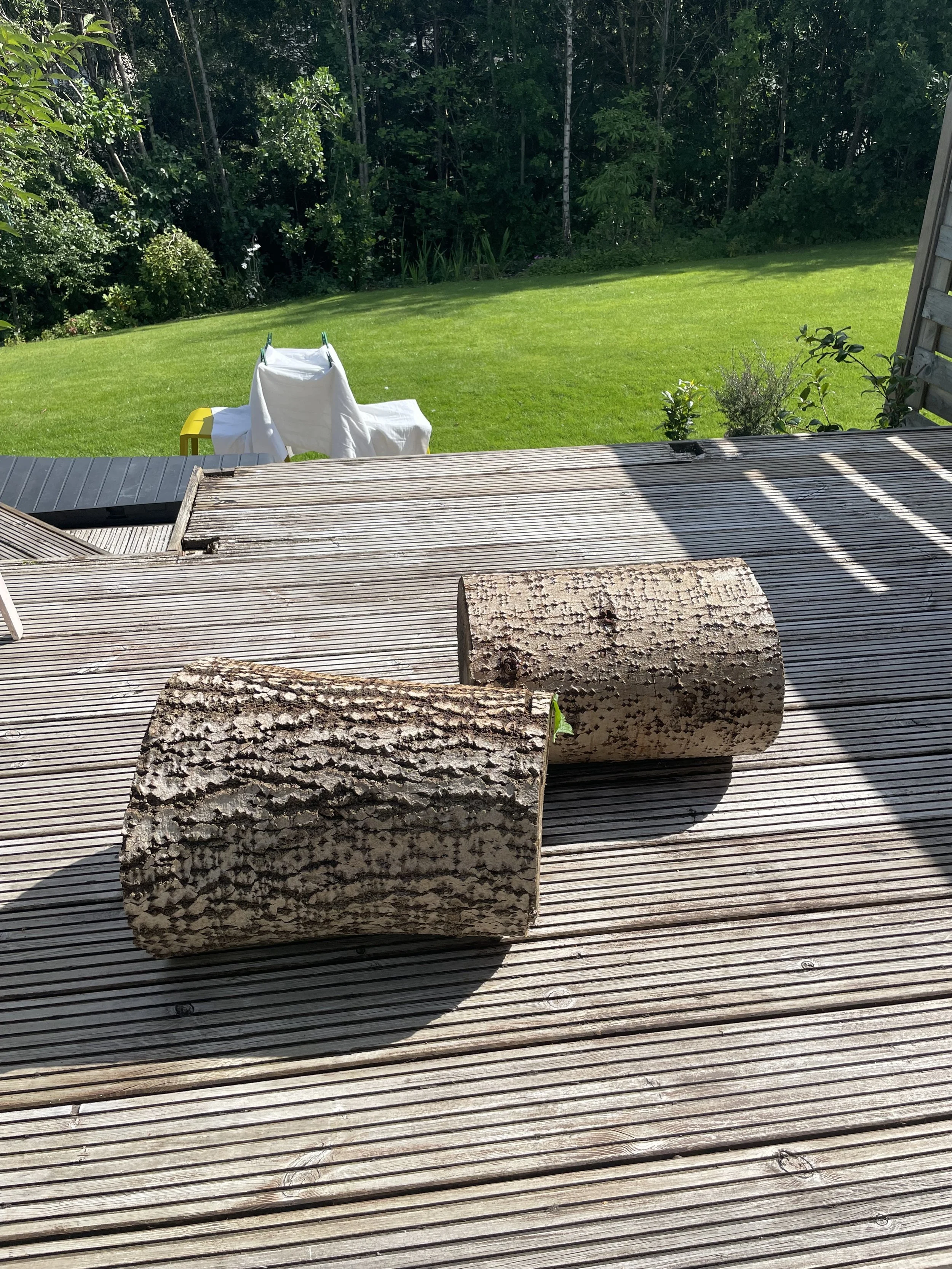 Two cut logs resting on a wooden deck with sunlight and shadows, overlooking a lush green backyard with a lawn and dense trees in the background, and a white cloth draped over an object near the grass.