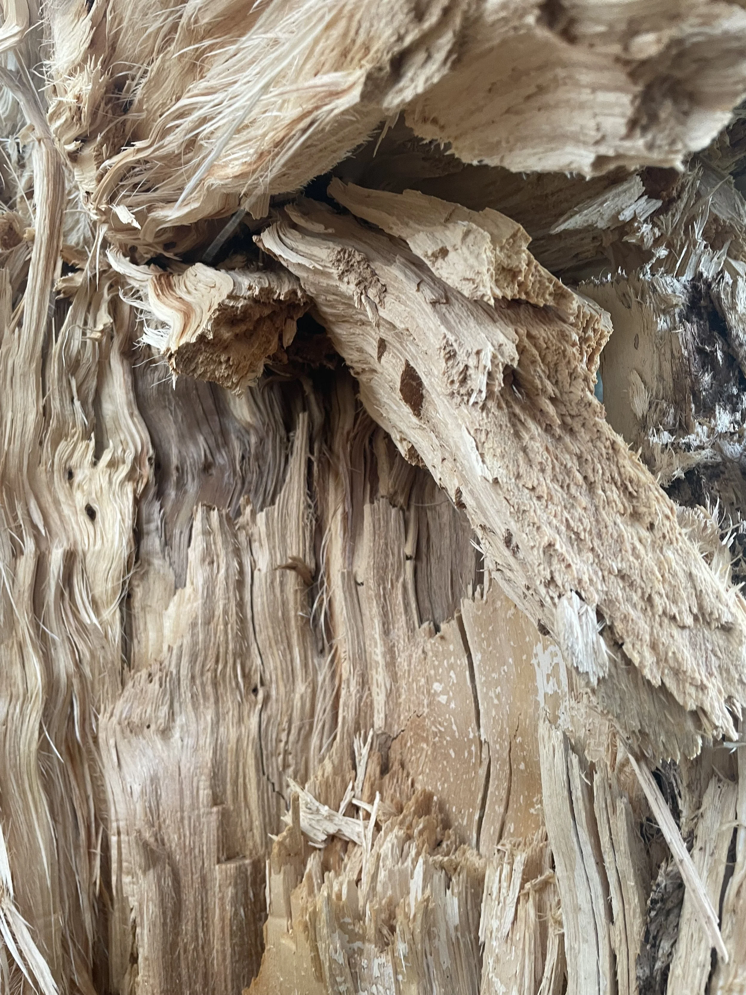 Close-up of broken, splintered wooden surface with exposed and jagged wood fibers.