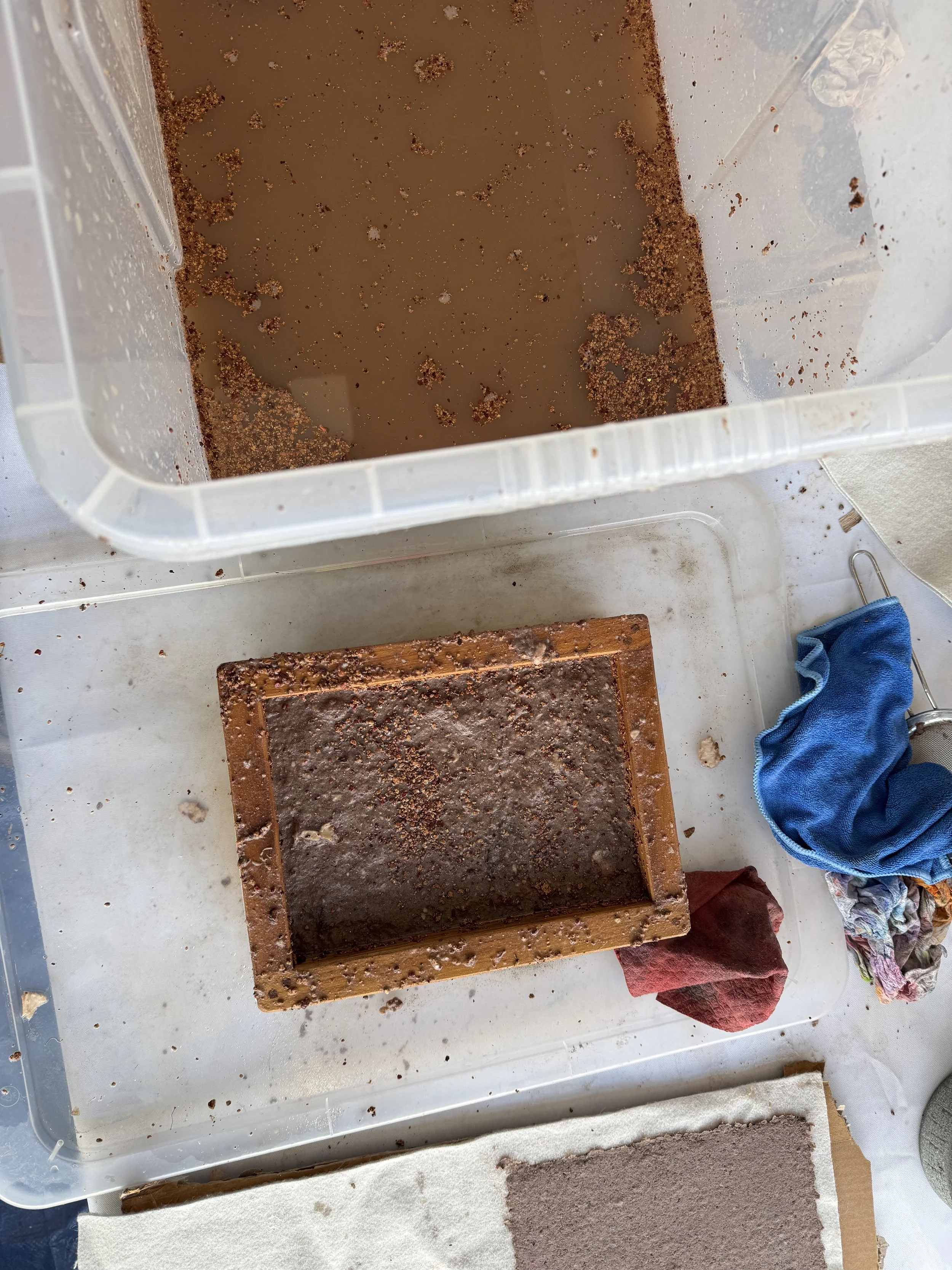 A container filled with brown liquid and sediment at the bottom, and a nearby rectangular mold with dark substance inside, surrounded by cloths and a paper towel.