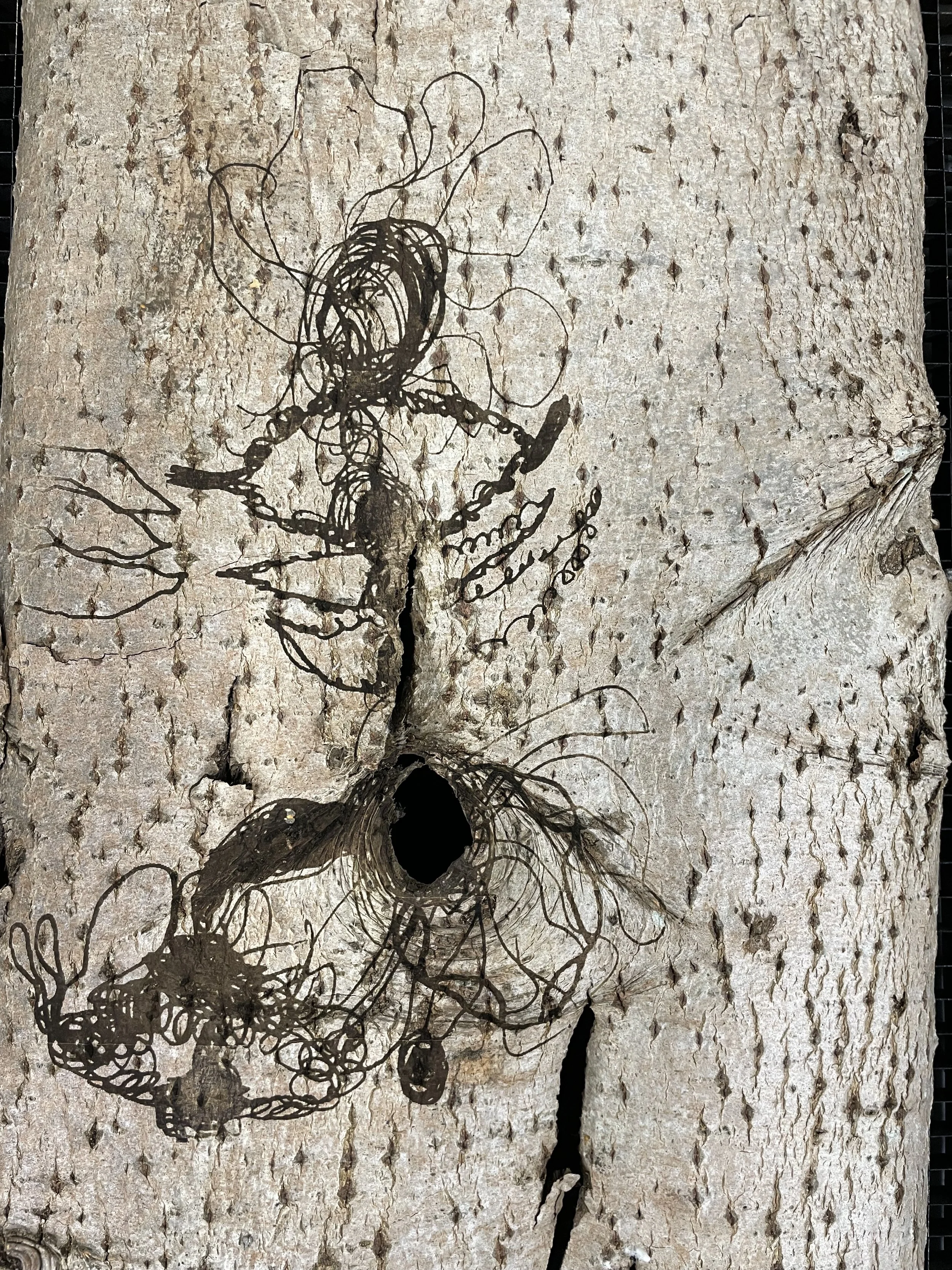 A tree trunk with a street art piece created by scratching the bark, revealing a dark plan in the shape of a humanoid figure with spiky hair. The artwork appears to symbolize a person with arms extended outward.