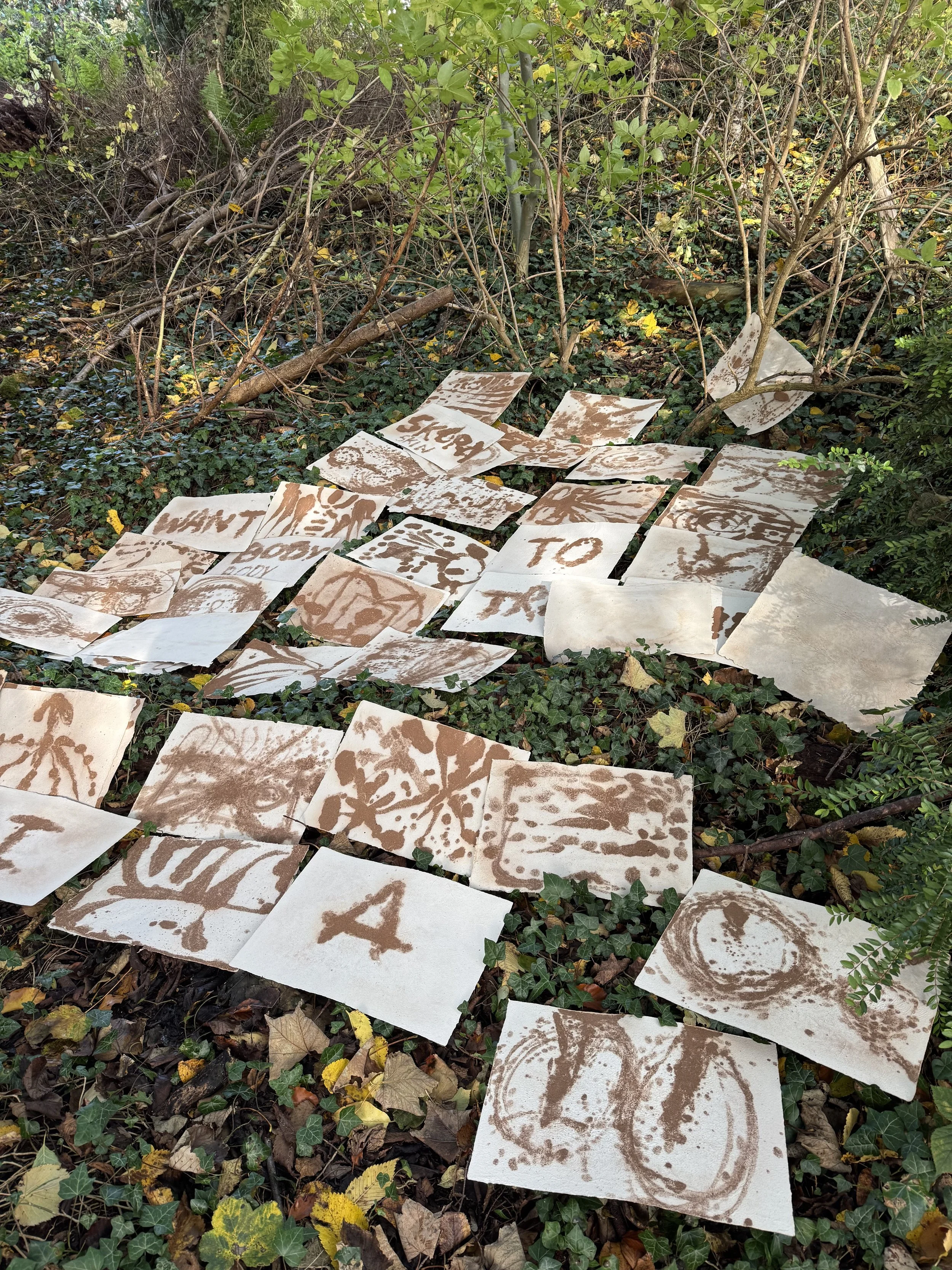 Various pieces of paper with brown ink drawings and writings scattered on the ground among green ivy, dead leaves, and small branches in a wooded area.