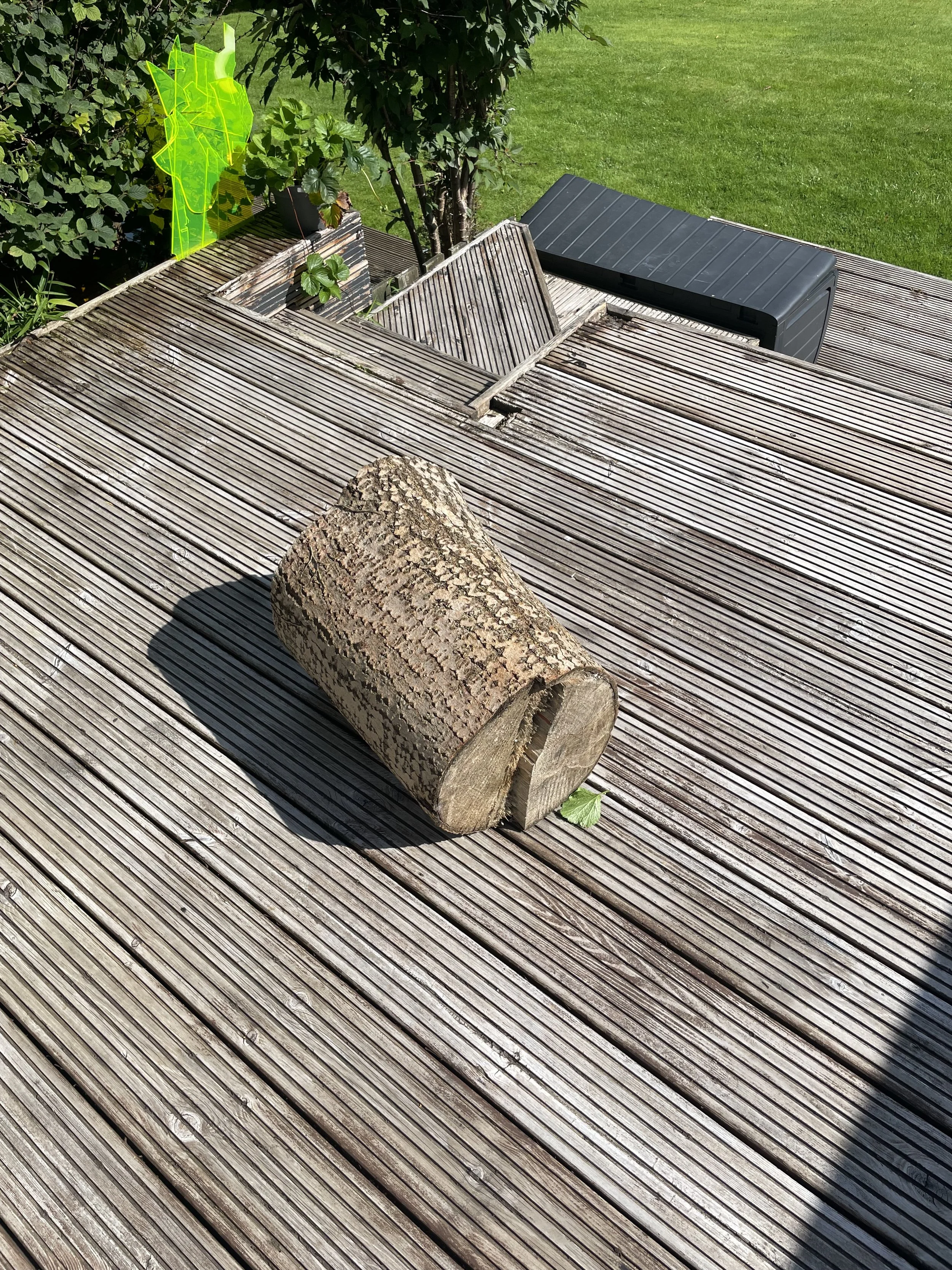 Wooden deck with a cut log and a small green leaf on it, with bushes and green grass in the background.
