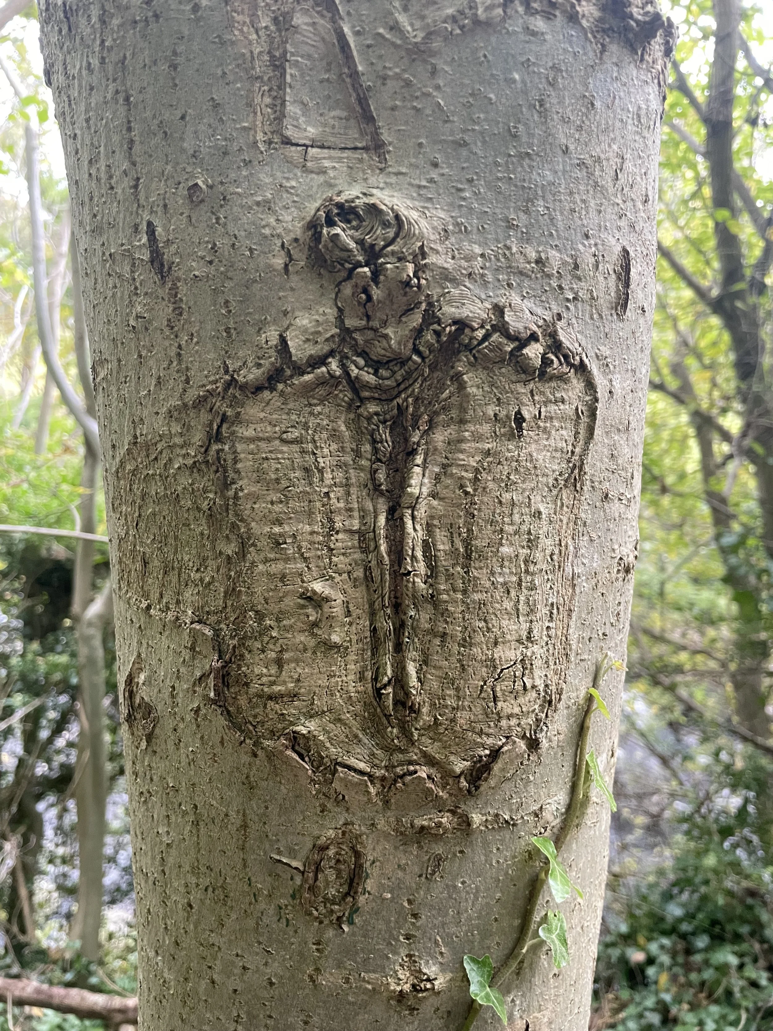 A tree trunk with a carved heart shape, which contains a carved outline of a crucifix.