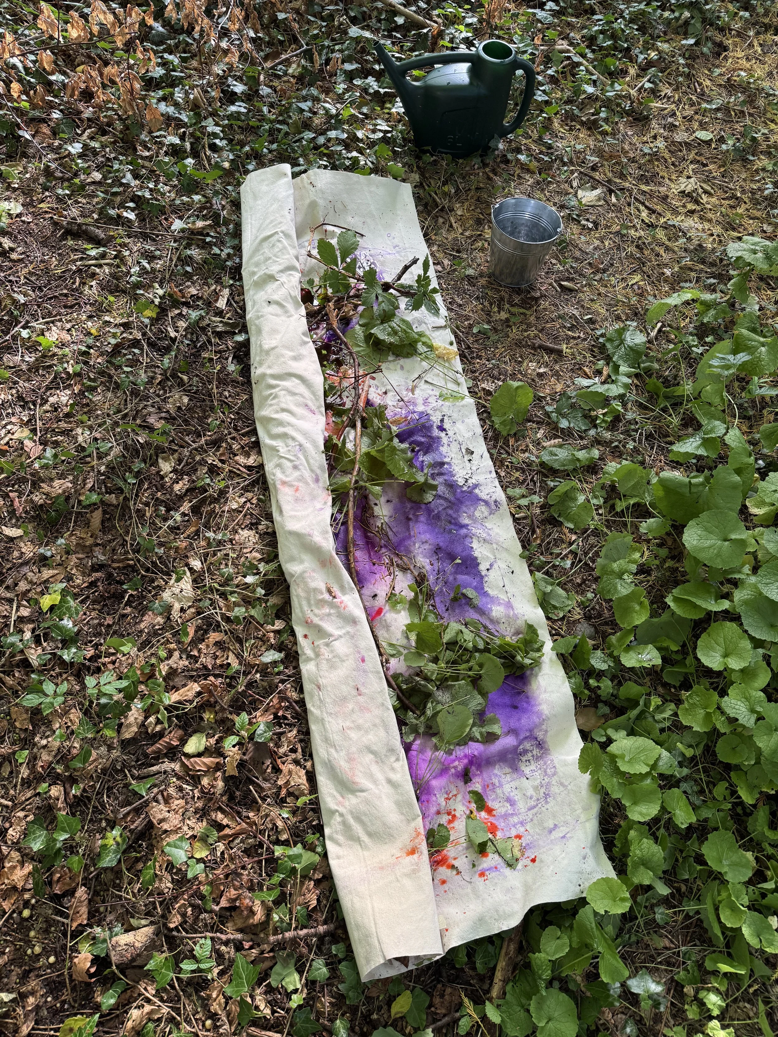 A long, white fabric sheet on the ground with purple, red, and some green paint splattered on it, surrounded by green leaves and dead brown leaves. There are some cut branches or stems on the sheet. On the top right, there is a green watering can, a 