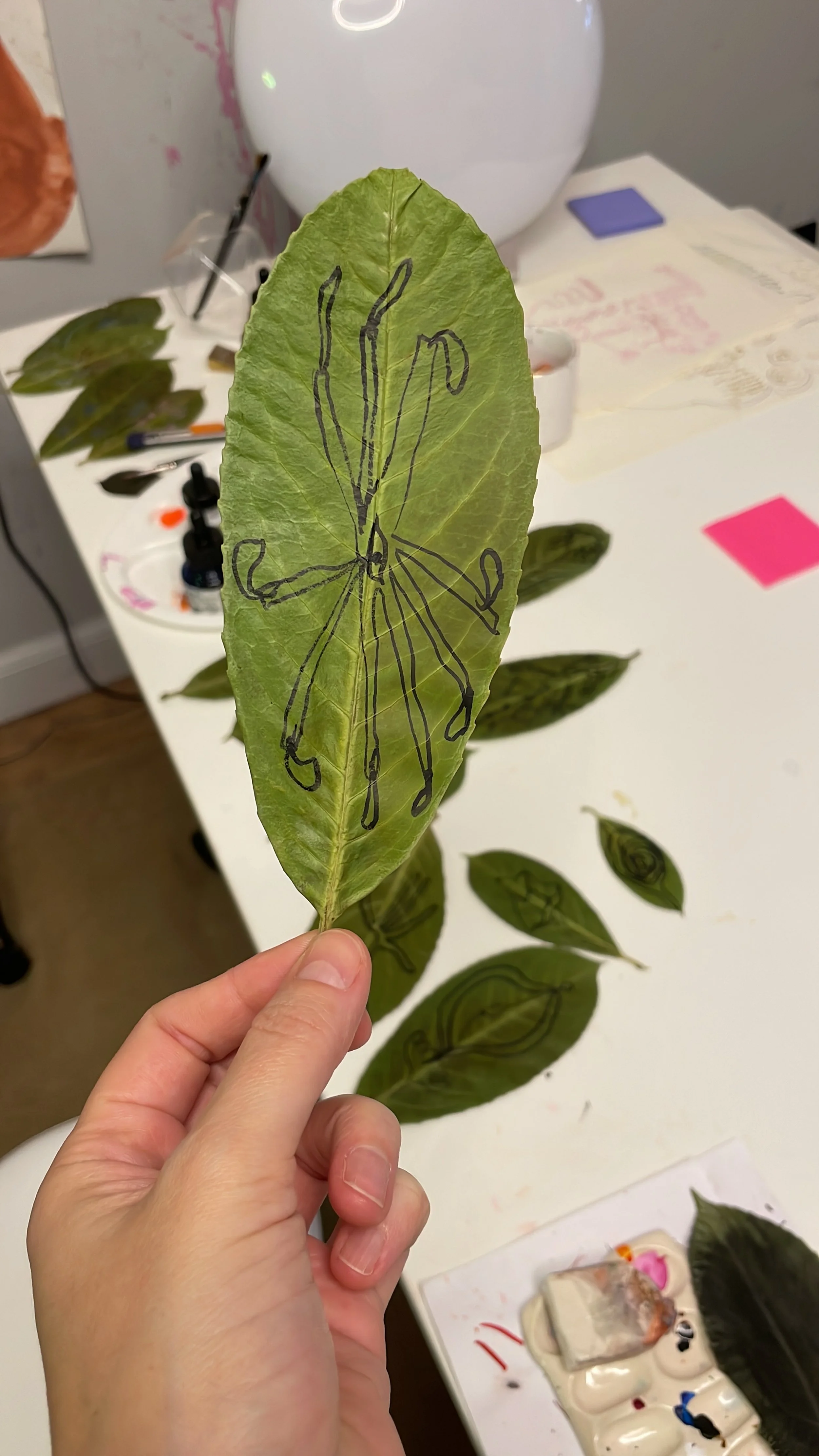 A leaf held by a hand with an outline of a spider drawn on it in black marker, on a table with other leaves and art supplies in the background.