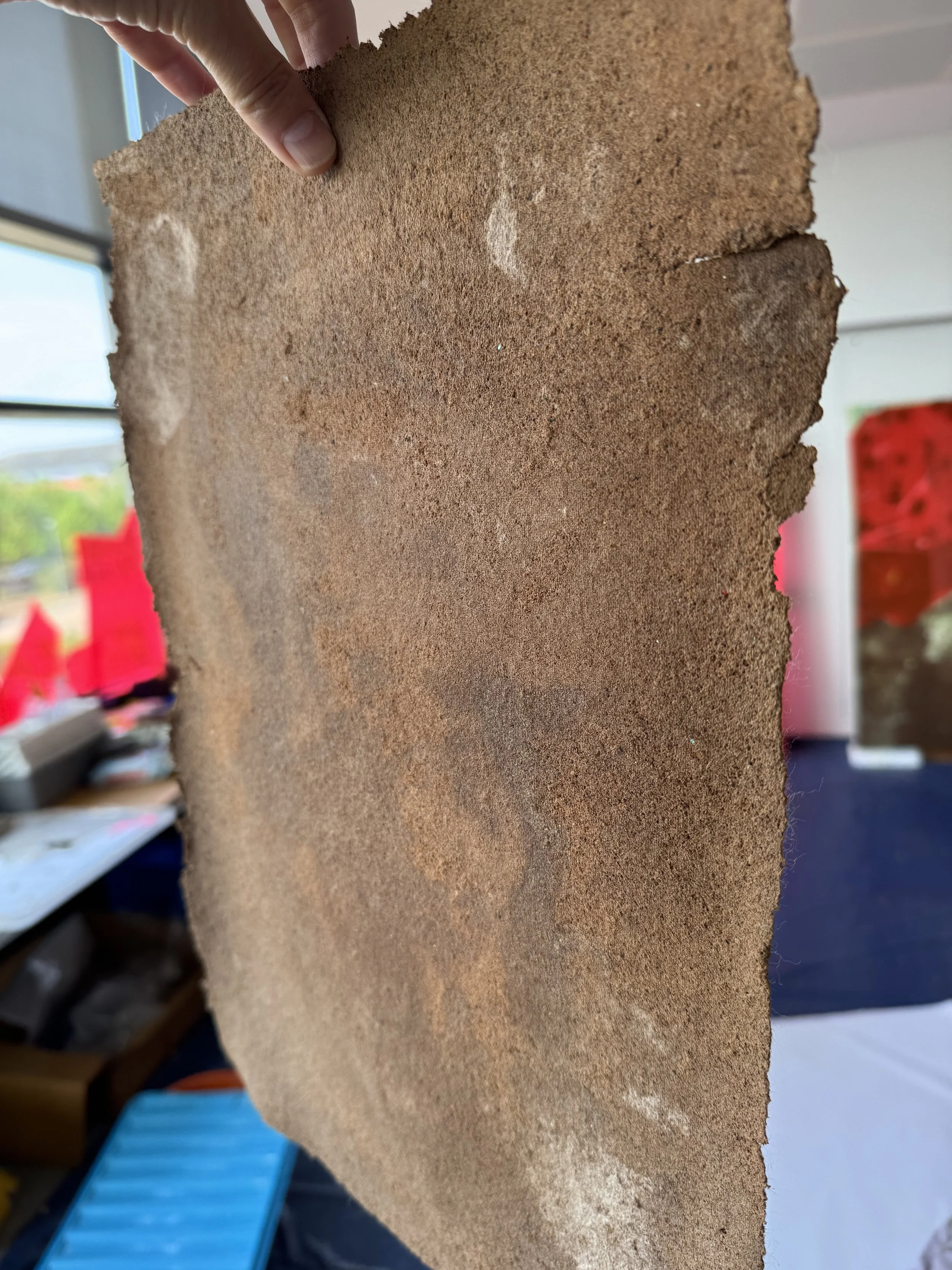 Close-up of a person holding a weathered, large, rectangular piece of cork board with rough edges, indoors with blurred background.