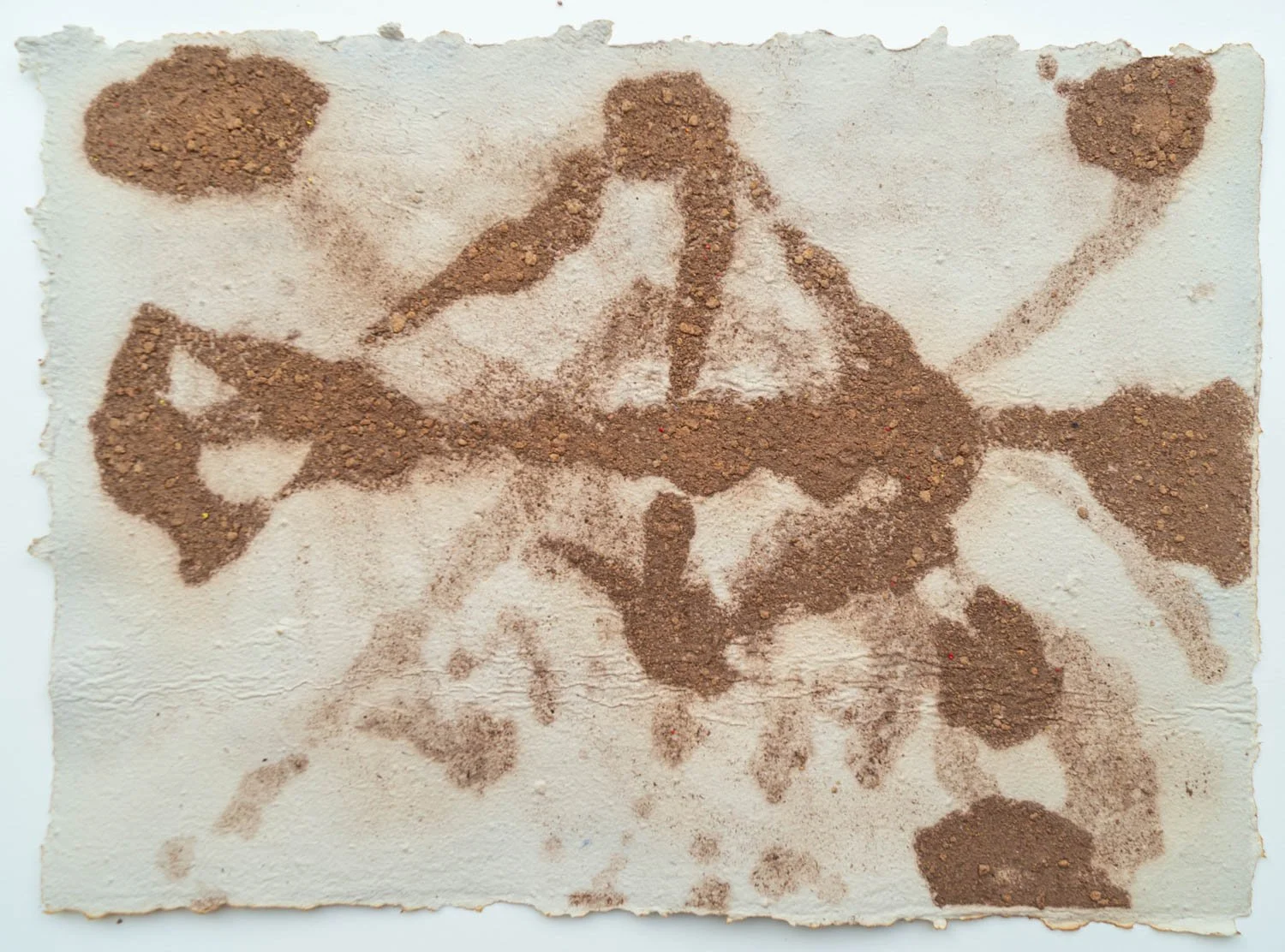 A sheet of paper with a layered, artistic design made from cocoa powder and possibly other spices to resemble a butterfly and floral patterns.