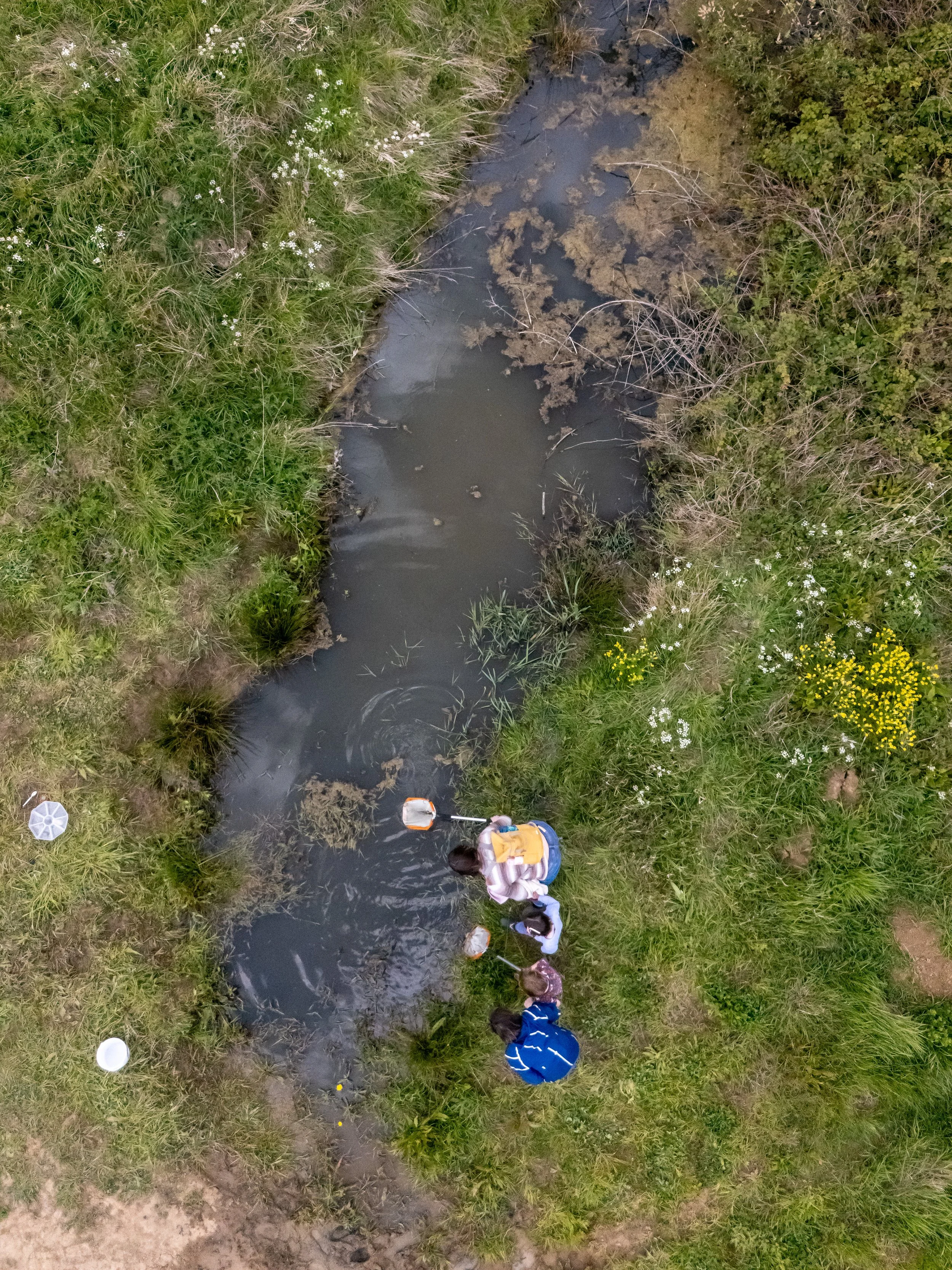 Children at Boothby Wildland near a pond