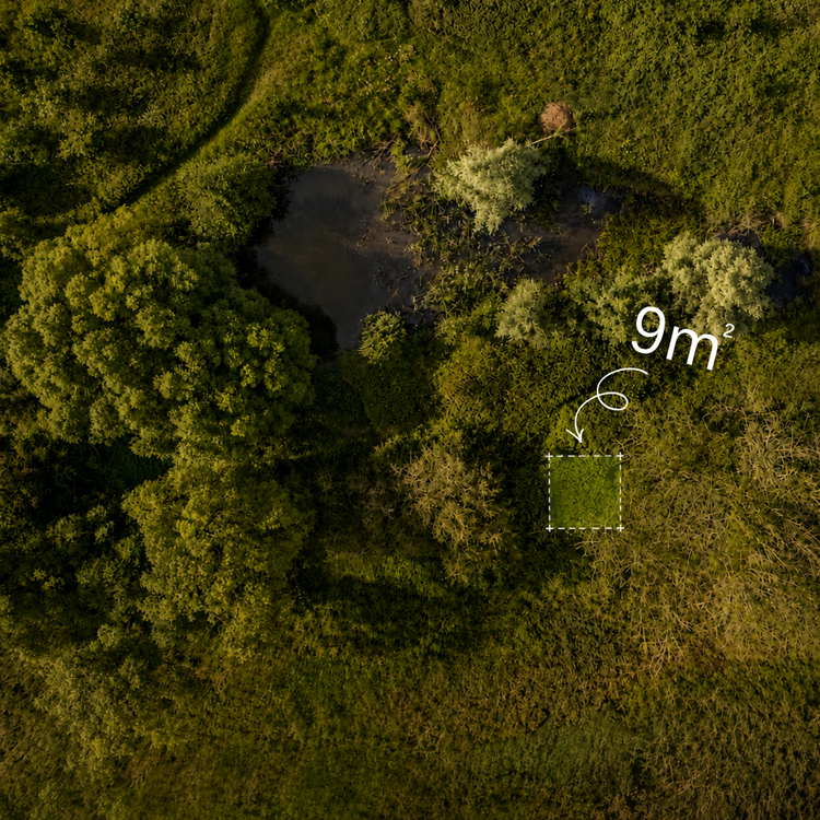 Drone shot of Boothby Wildland