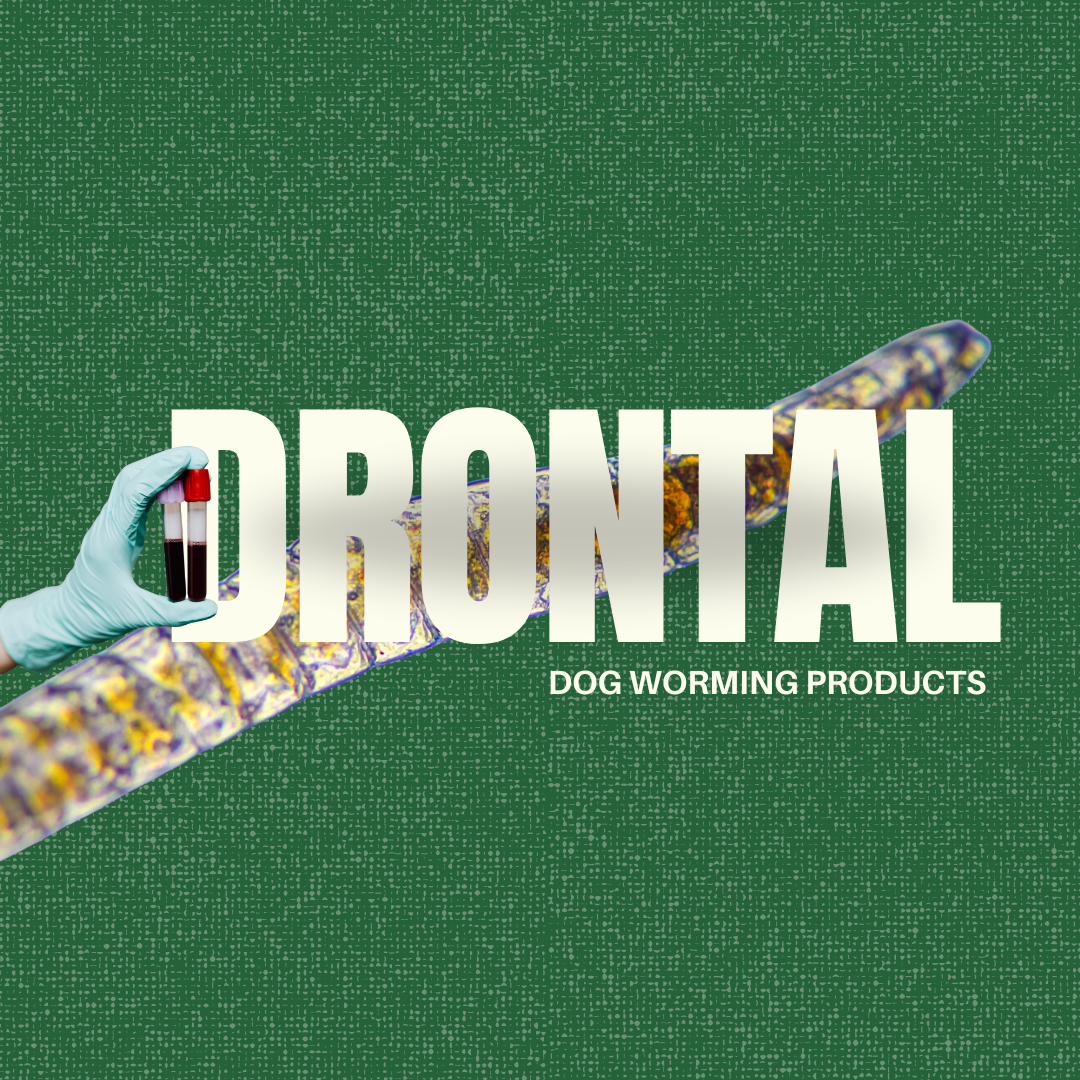 Drontal Worms