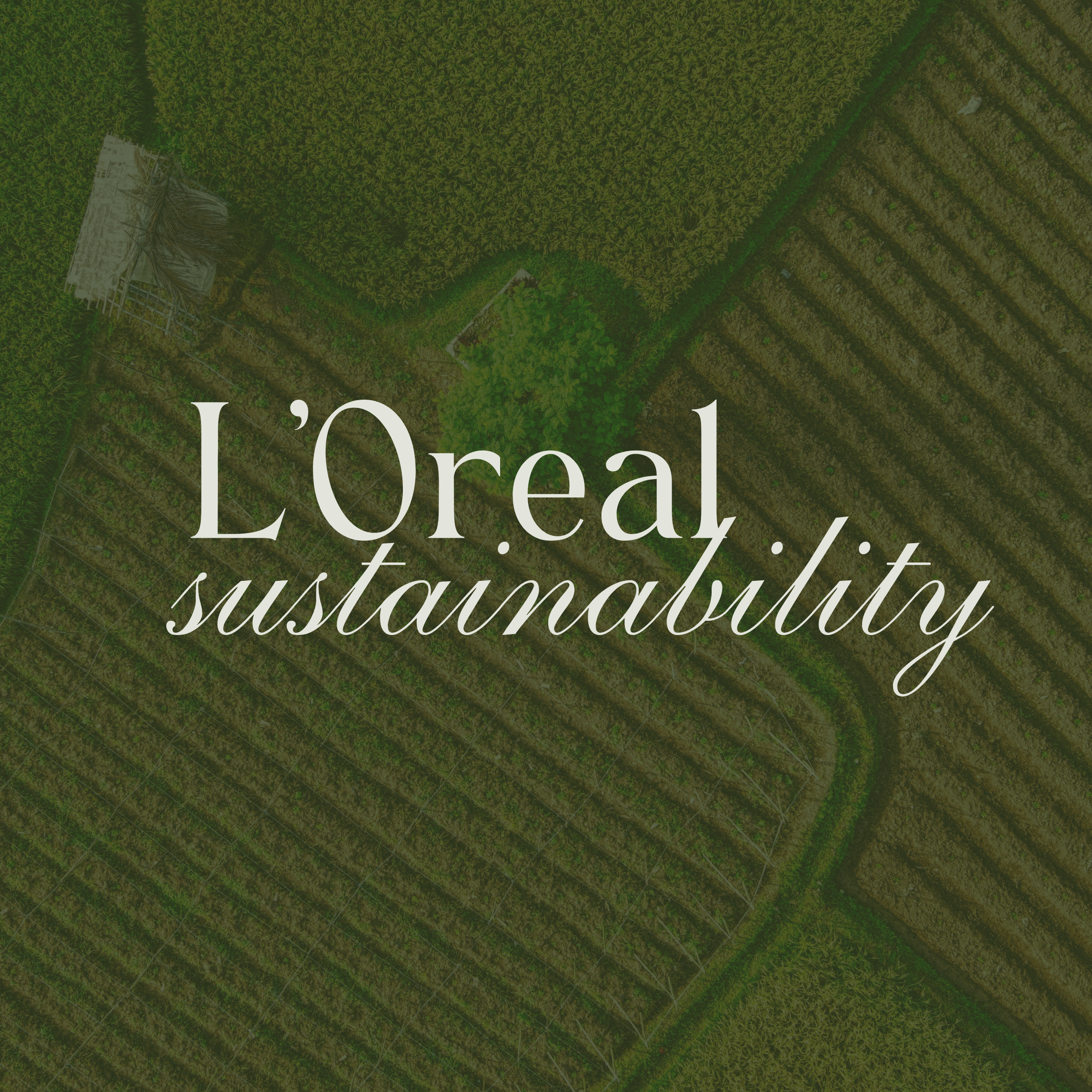 L'Oreal Sustainable packaging