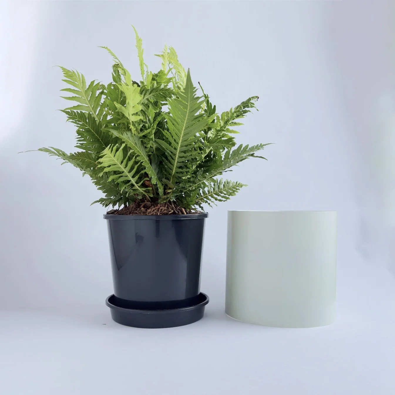 Bare Pot Medium Sage Side By Side.jpg