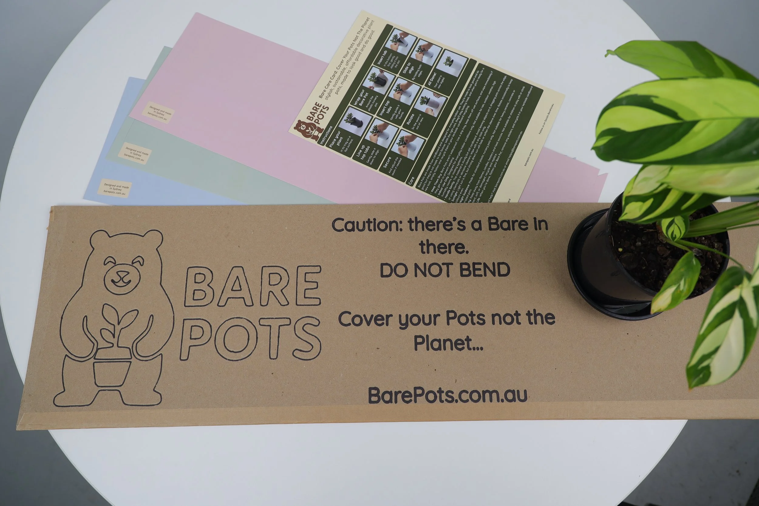 Bare Pots Package with Plant.jpeg