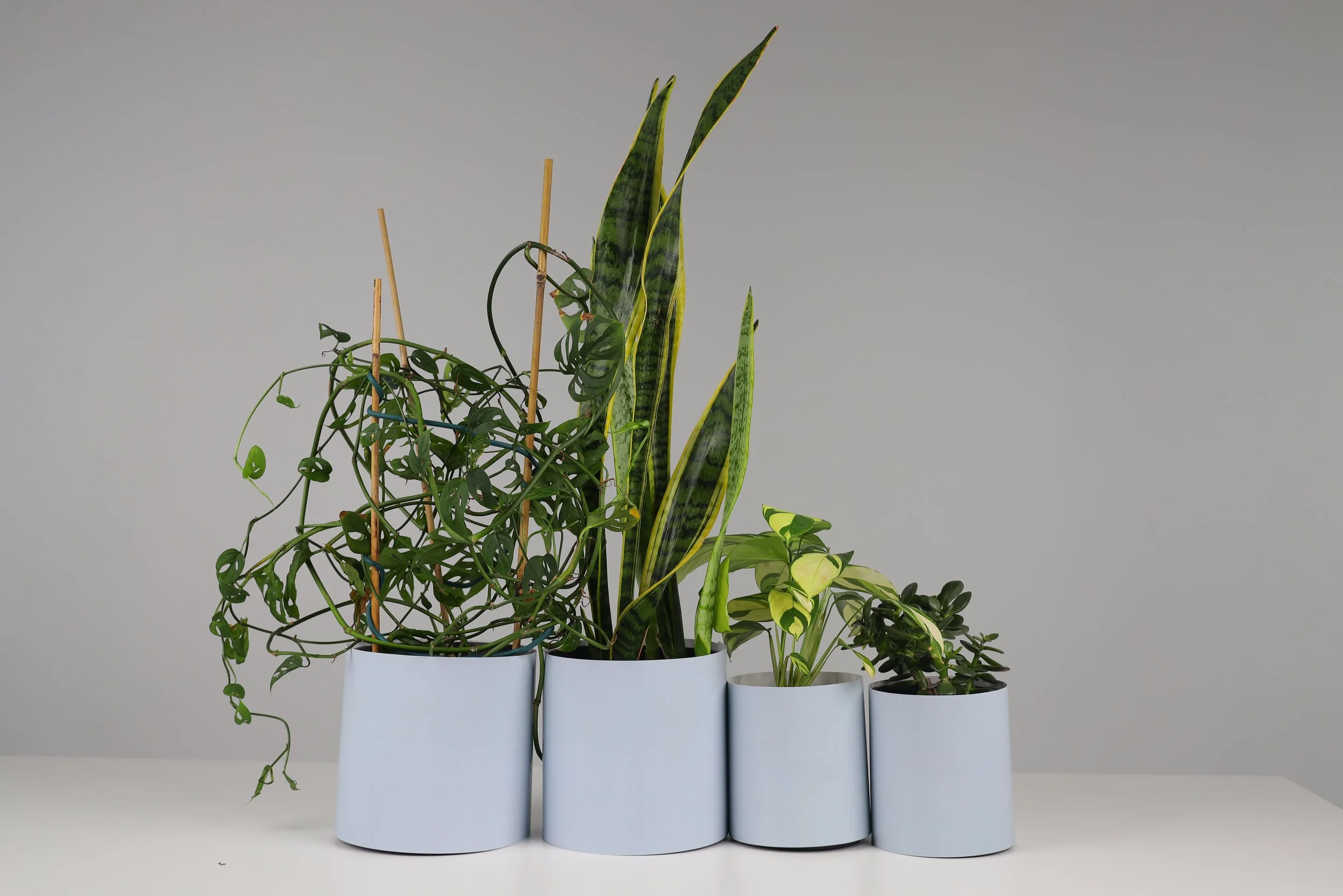 The Shelfie Set - 4 Pack