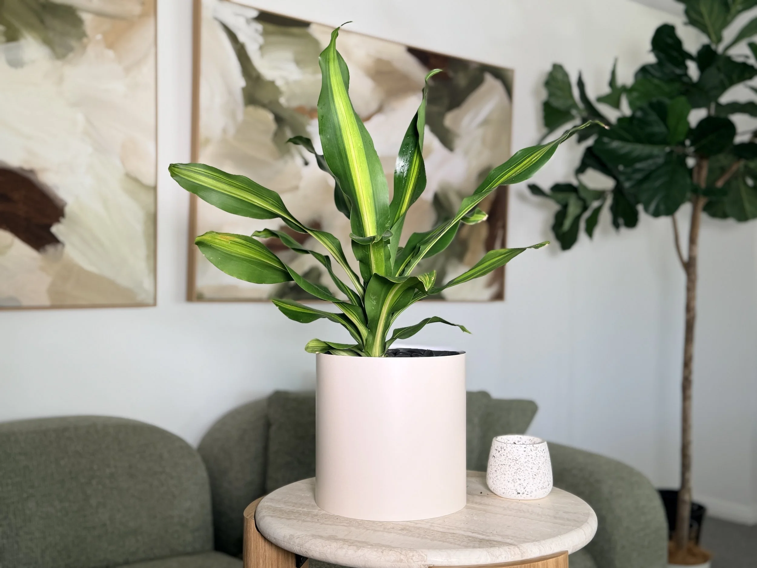 A large leafy plant styled in a colour drench navy Bare Pots indoor pot sleeve resting on a wooden side table in a living room.
