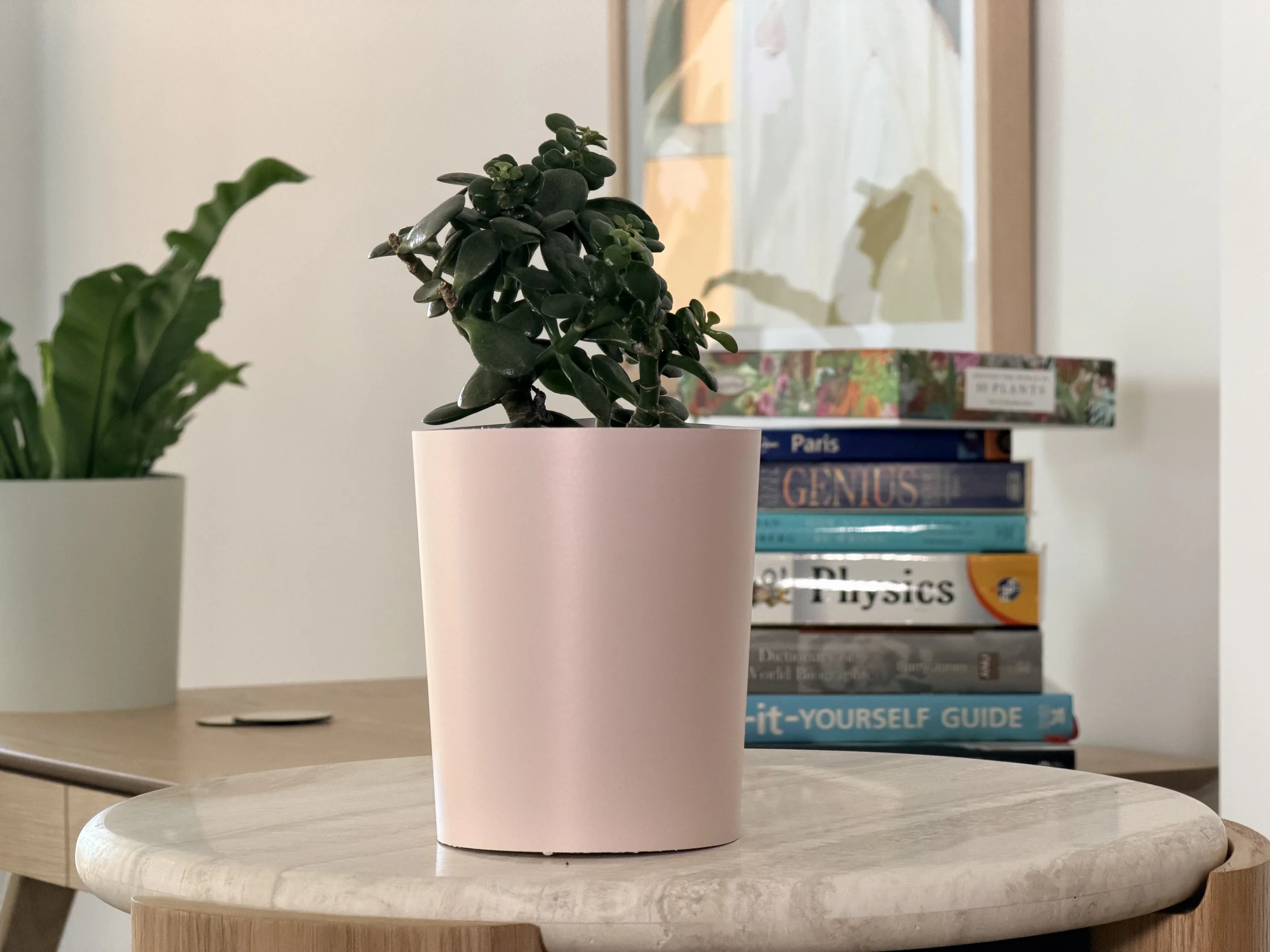 Colour Drench Indoor Multi-Pack - Pink Clay