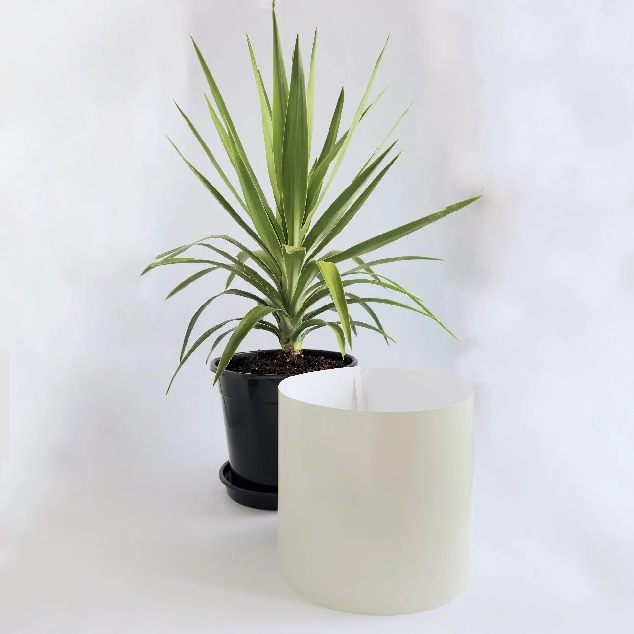 Bare Pot Extra Large Sage Side By Side.jpg