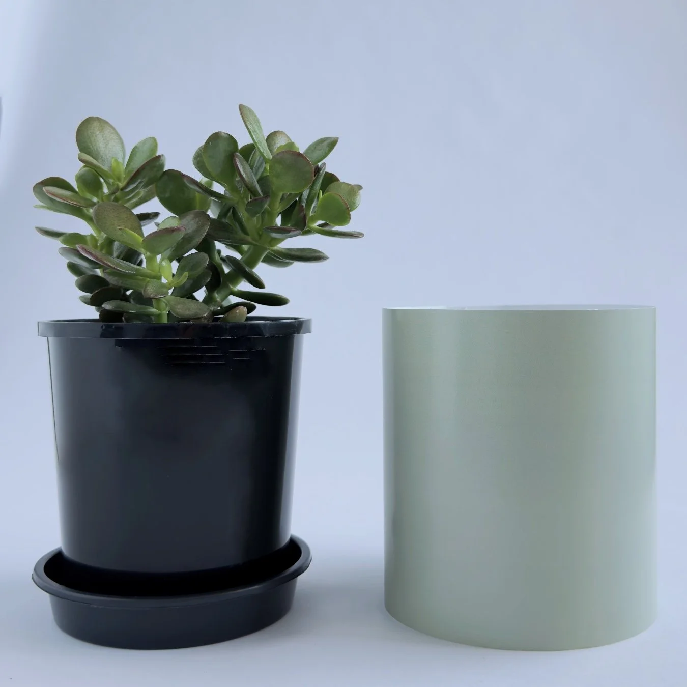 Bare Pot Small Sage Side By Side.jpg