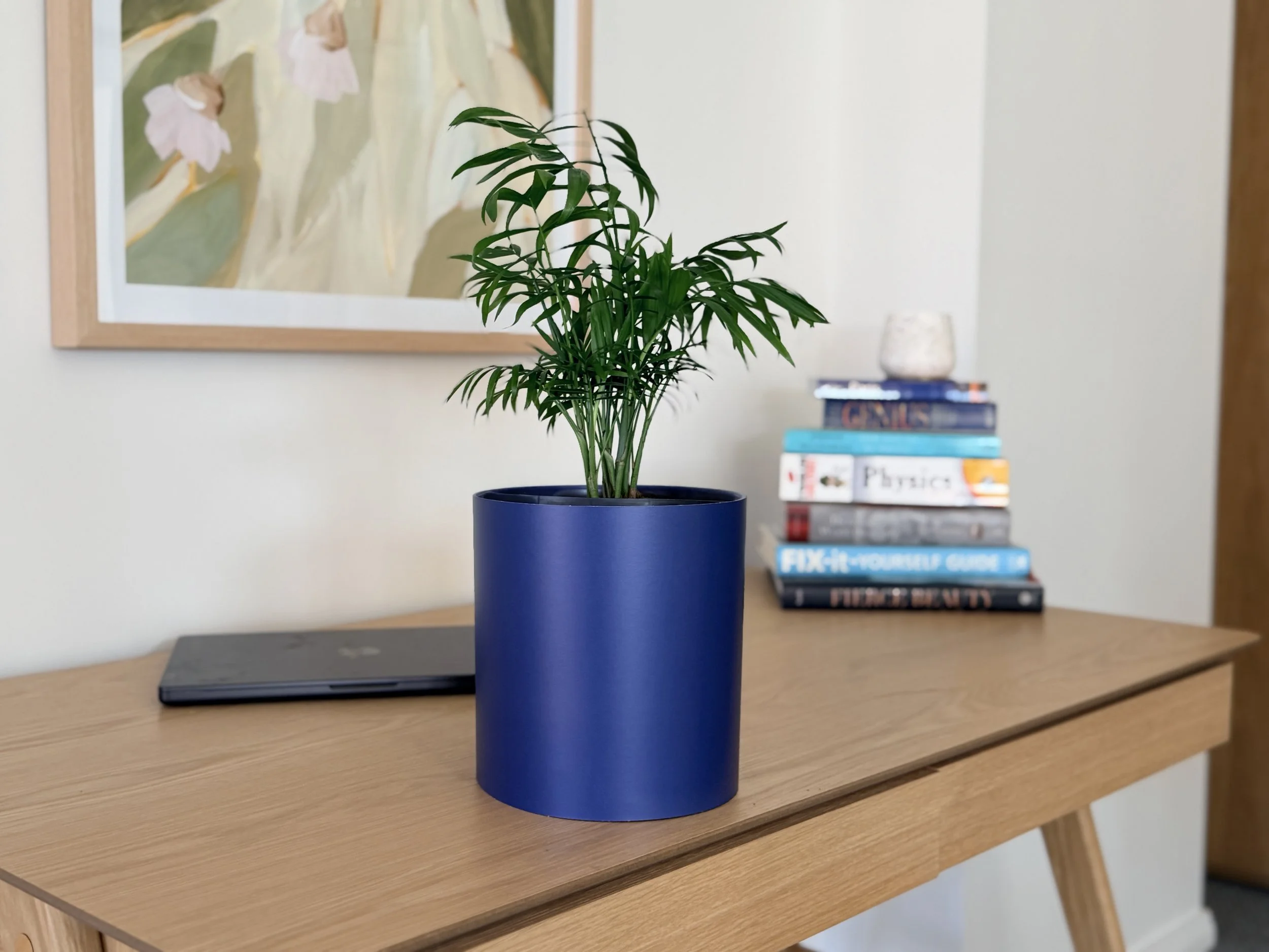 A medium plant sitting on a wooden desk inside a colour drench navy Bare Pots Indoor pot cover