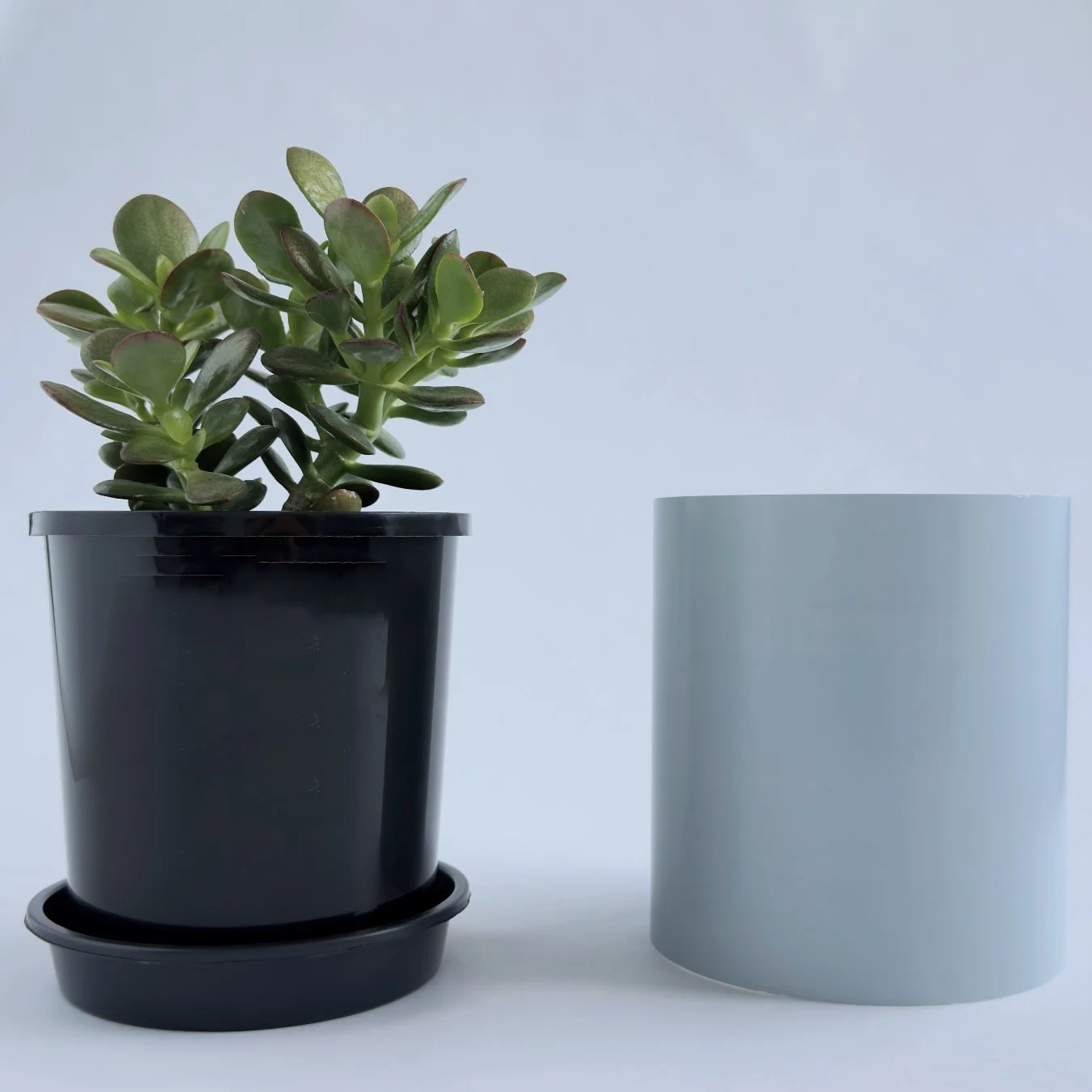Bare Pot Small Powder Blue Side By Side.jpg