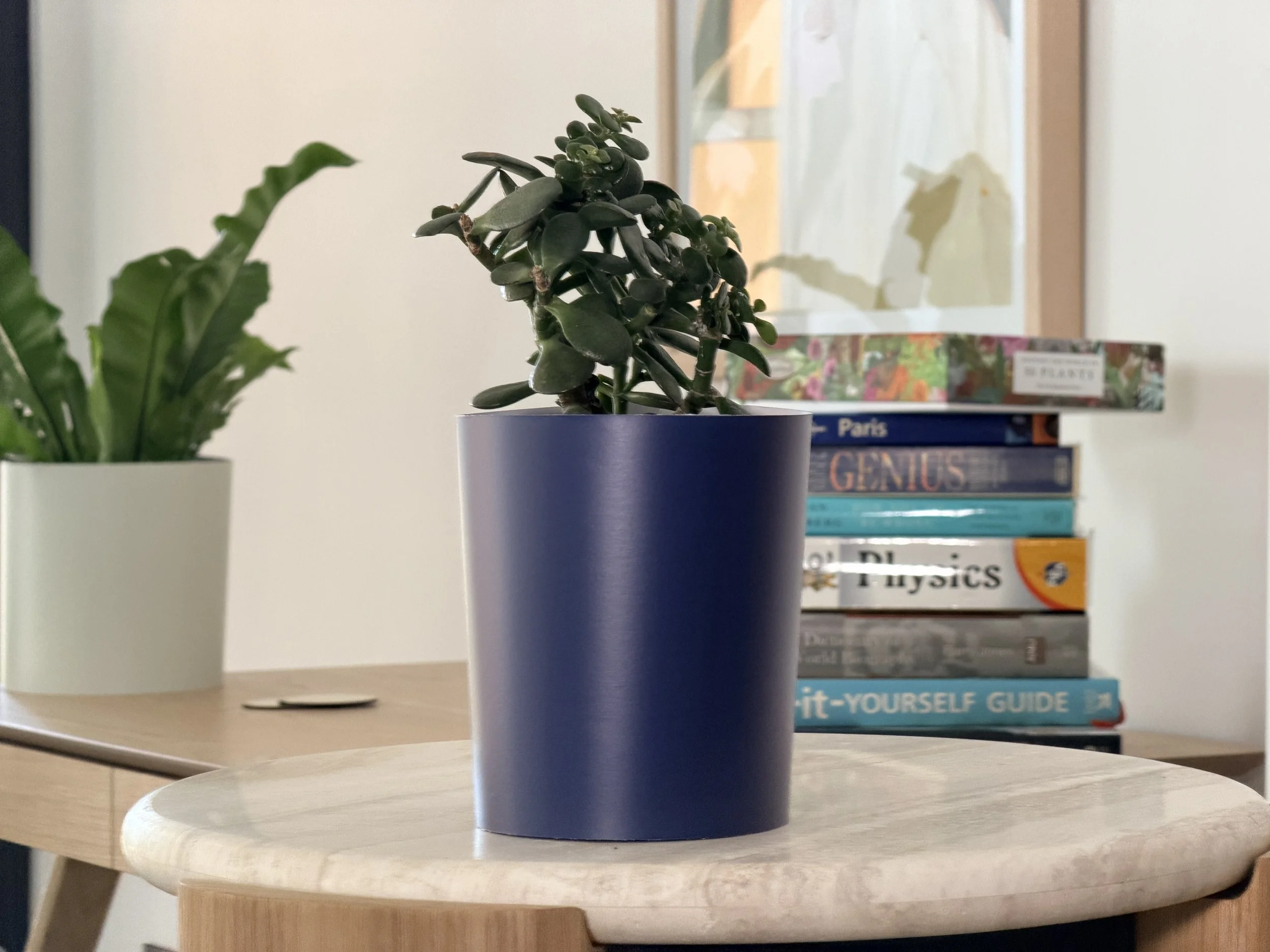 A small houseplant styled in a colour drench navy Bare Pots Indoor plant sleeve on a tabletop next to a stack of books.