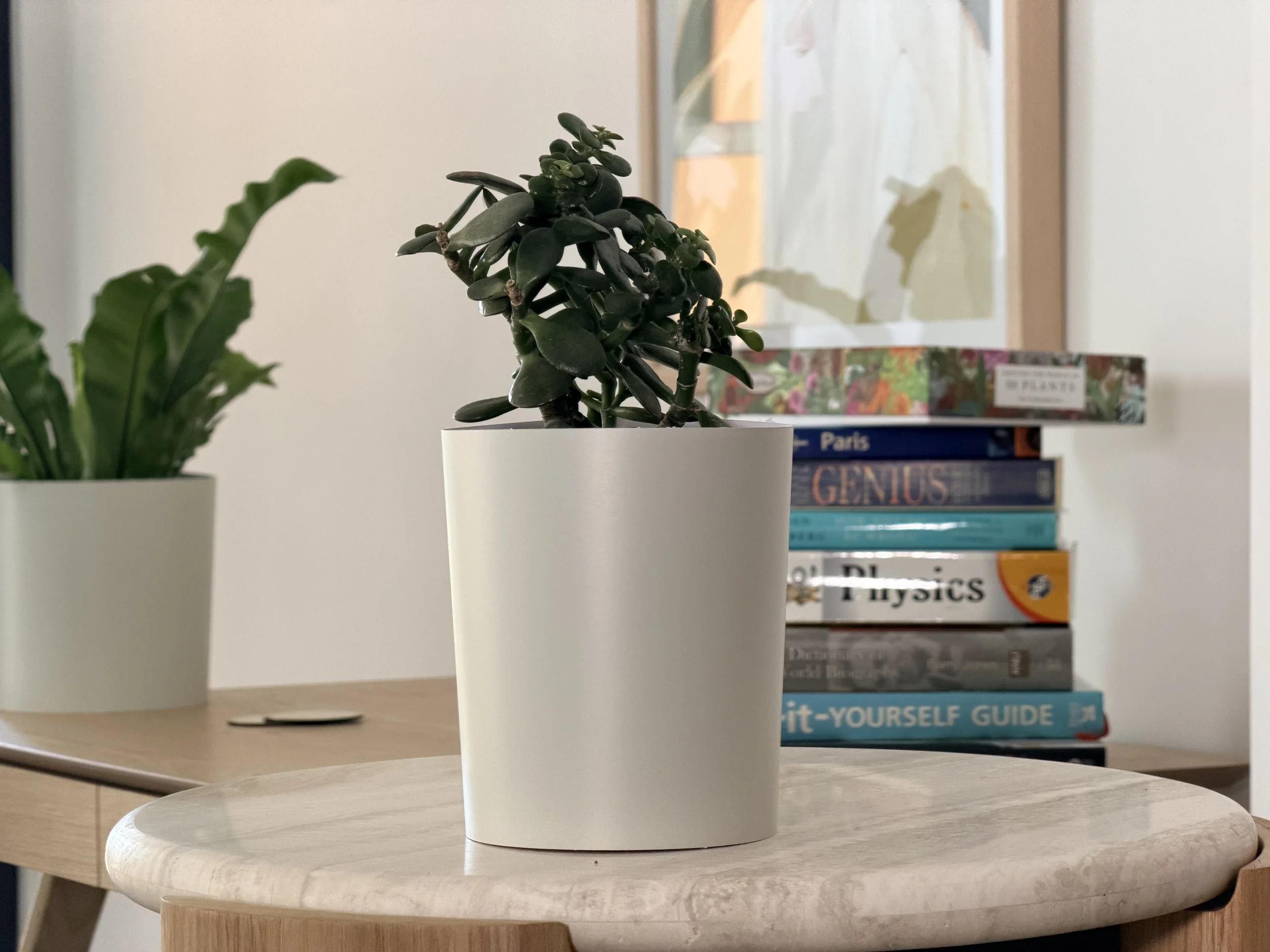 A small houseplant styled in a colour drench frost Bare Pots Indoor plant sleeve on a tabletop next to a stack of books.