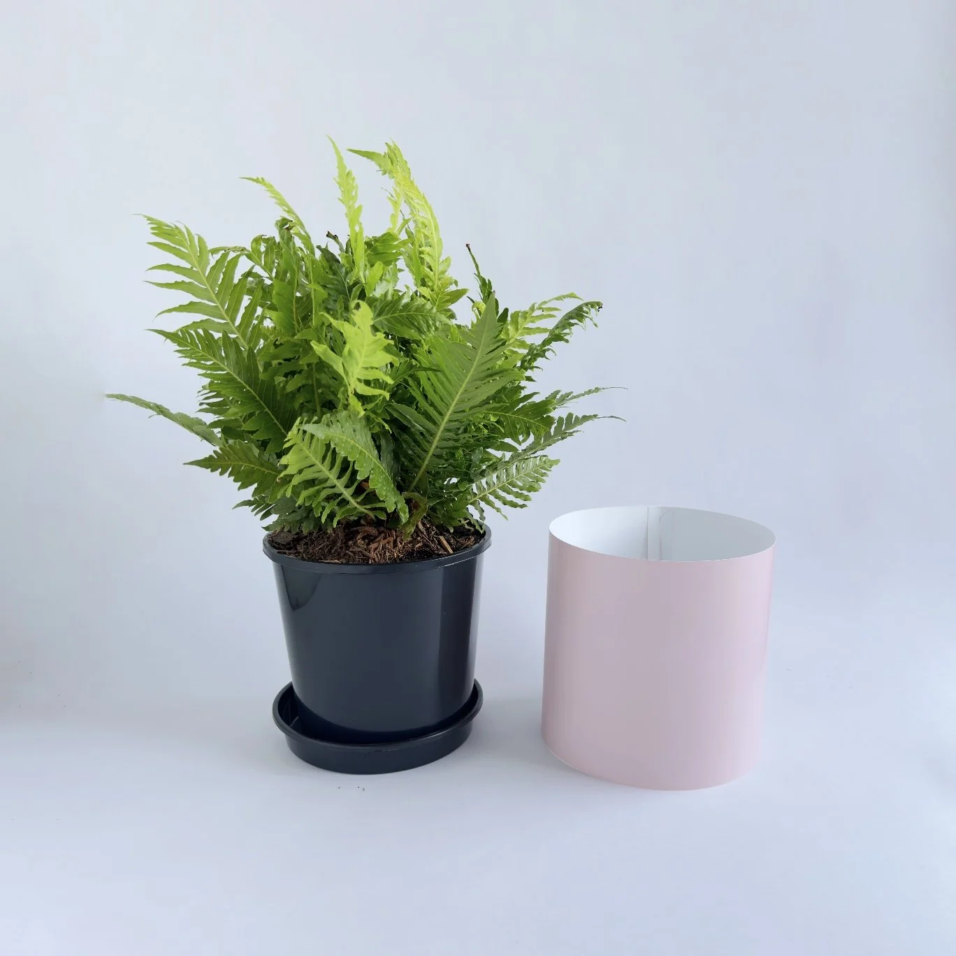 Bare Pot Medium Pink Clay Side By Side.jpg