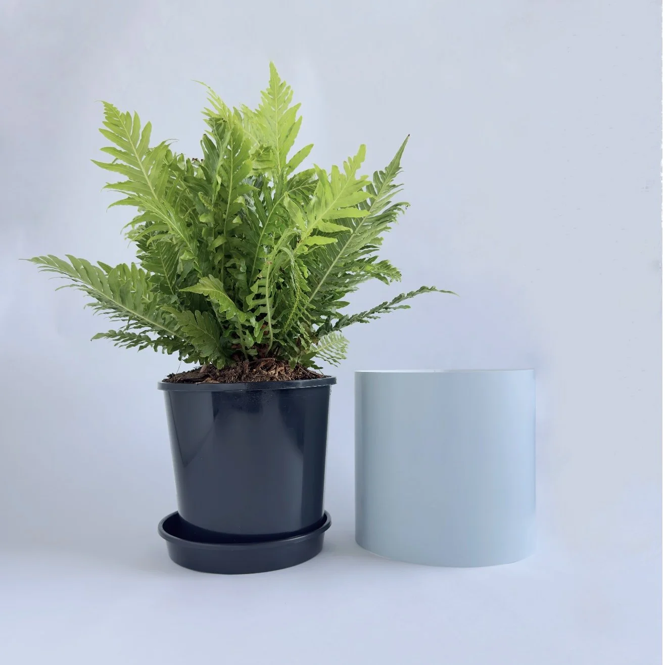 Bare Pot Medium Powder Blue Side By Side.jpg