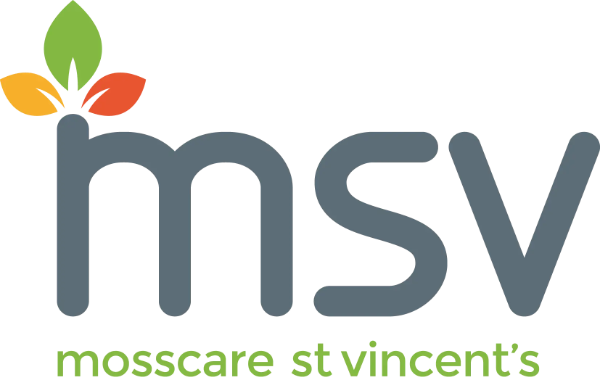 MSV Logo