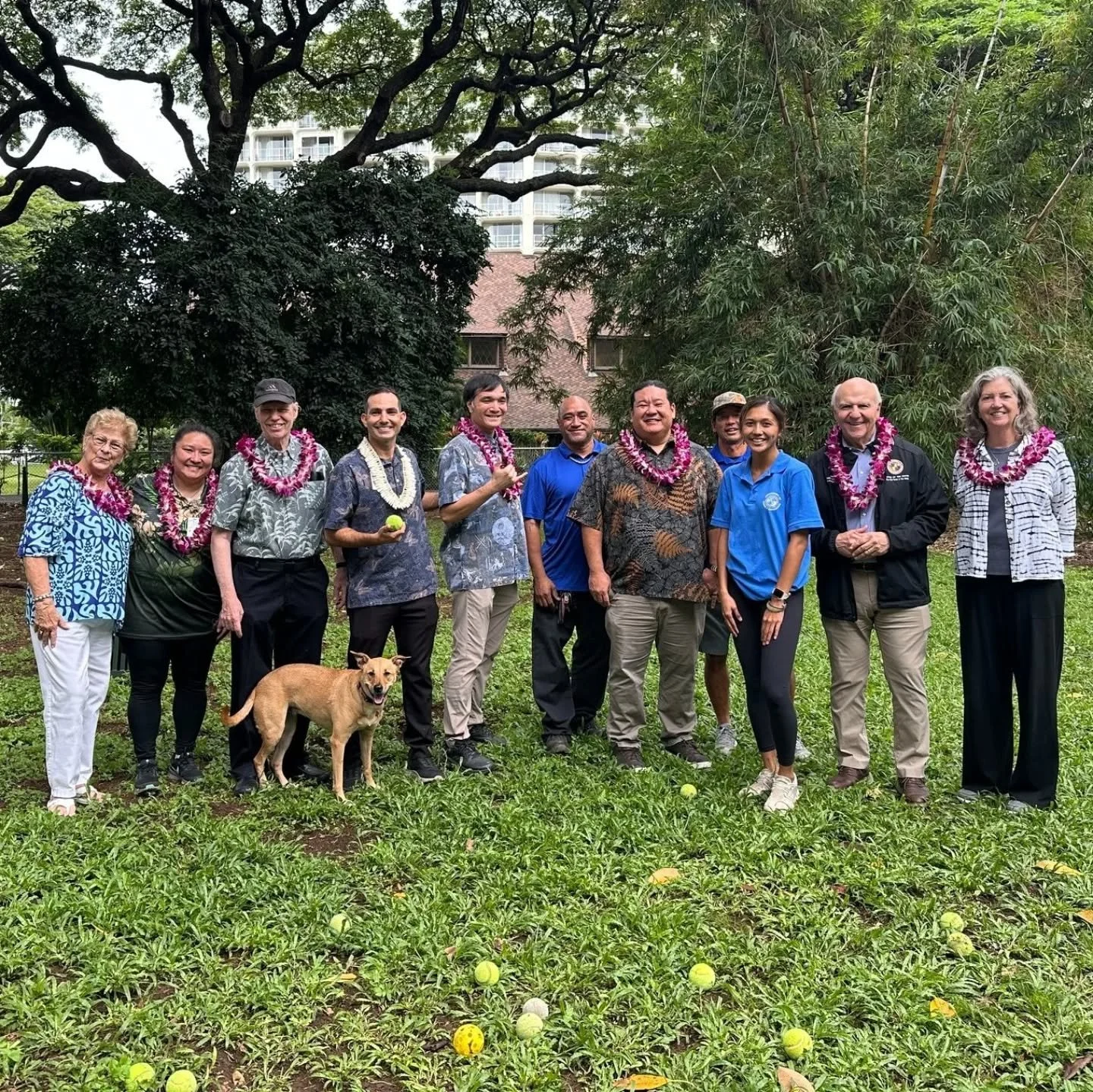 Really rewarding to finally see the Makiki Dog Park open and already being used by neighbors and their dogs.

This project started as a community request and took steady coordination over the past year to move through permitting and site prep. Seeing