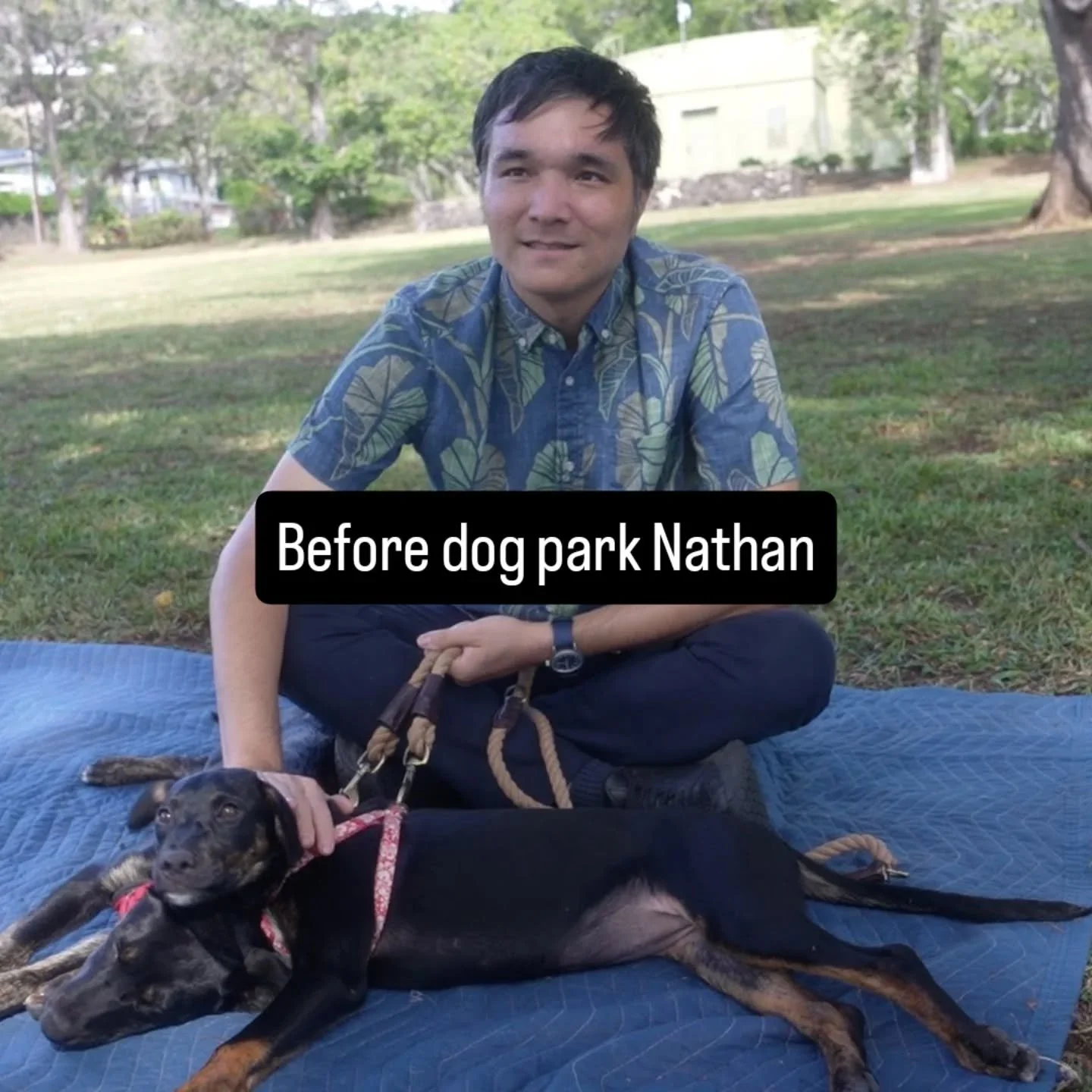 Did you know we have a new off-leash dog park at Punahou Square Park? Check it out at 1526 Punahou St!

And if you love these two adorbs pups, adopt Jack and/or Peach through Paws of Hawaii