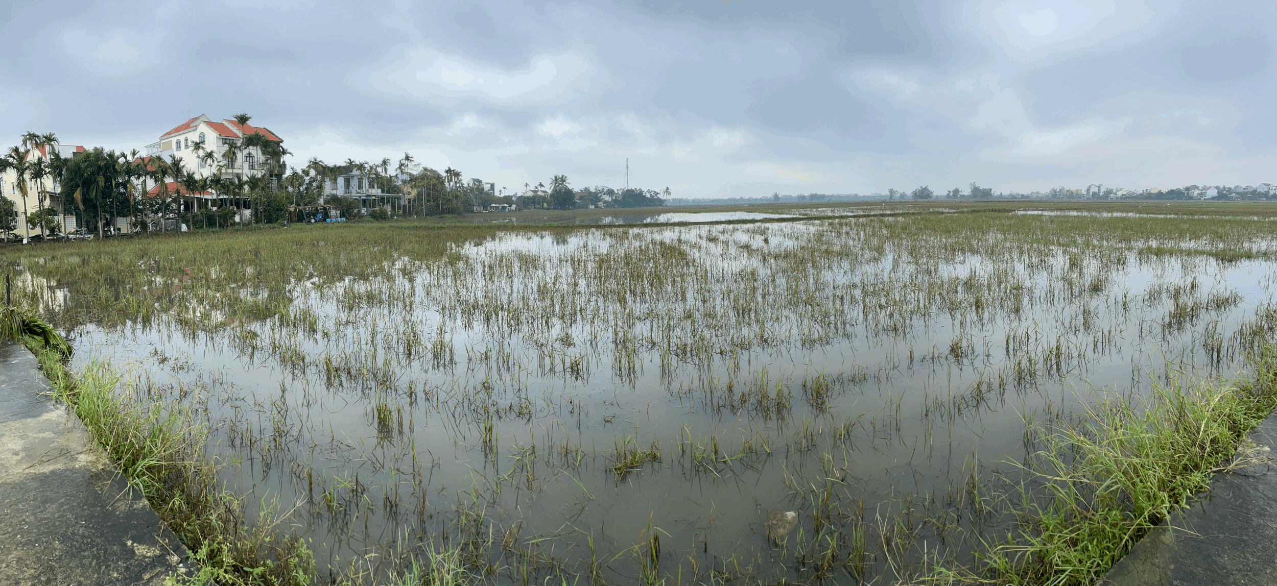 Da Nang Airport Corruption + Flooding