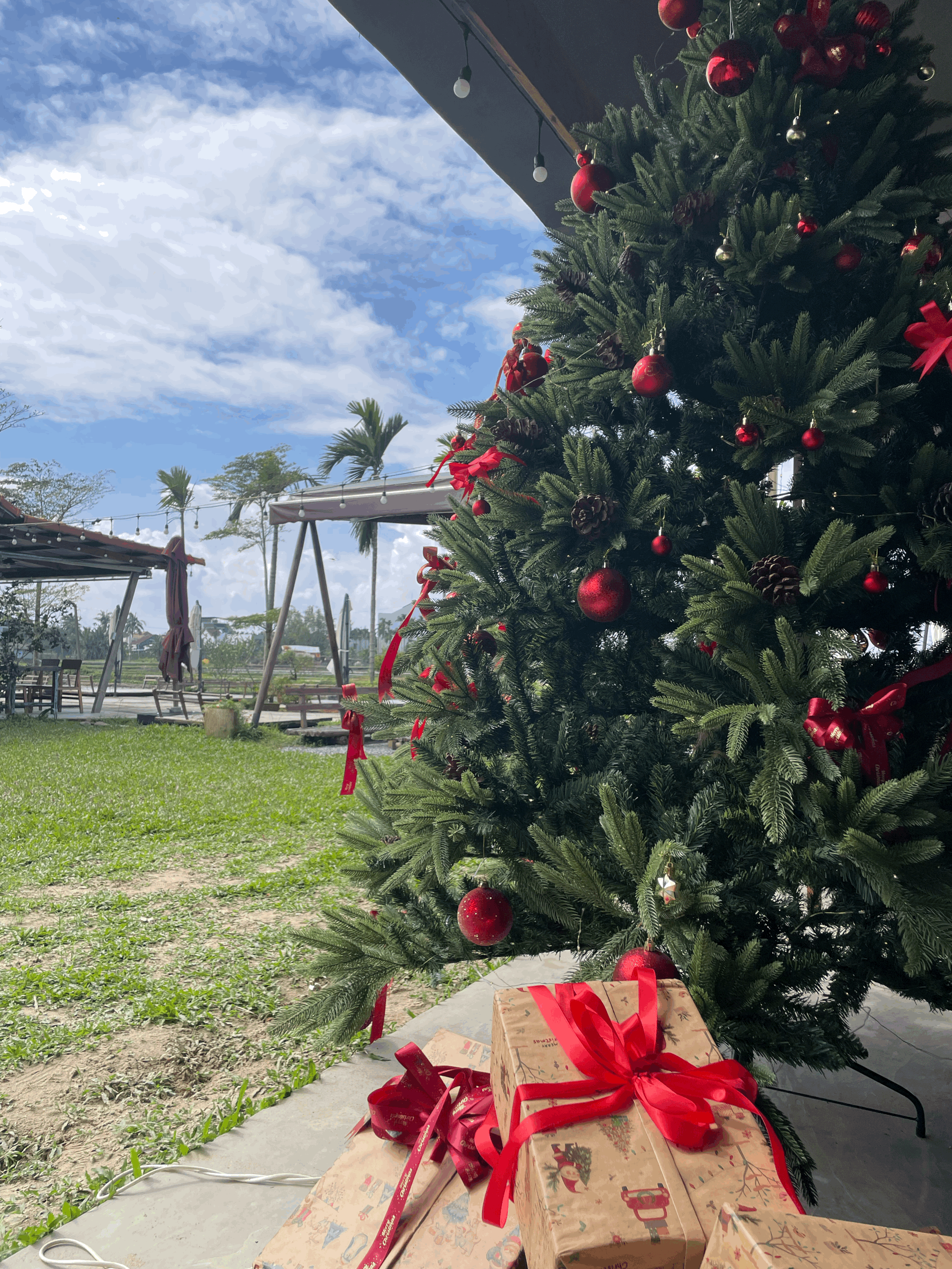 Life in Vietnam: What Christmas Looks Like When You’re Living Abroad