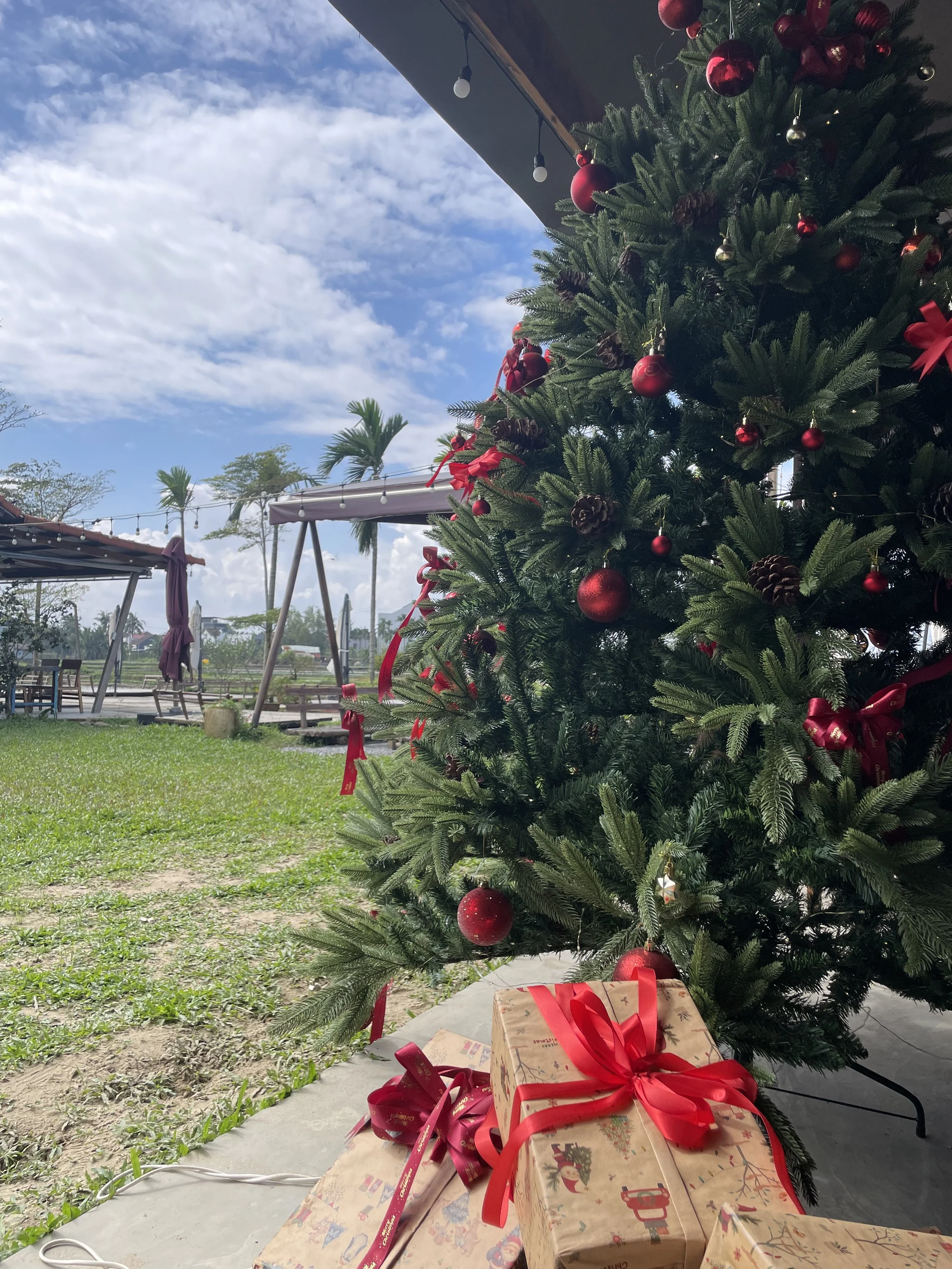 Christmas in Vietnam