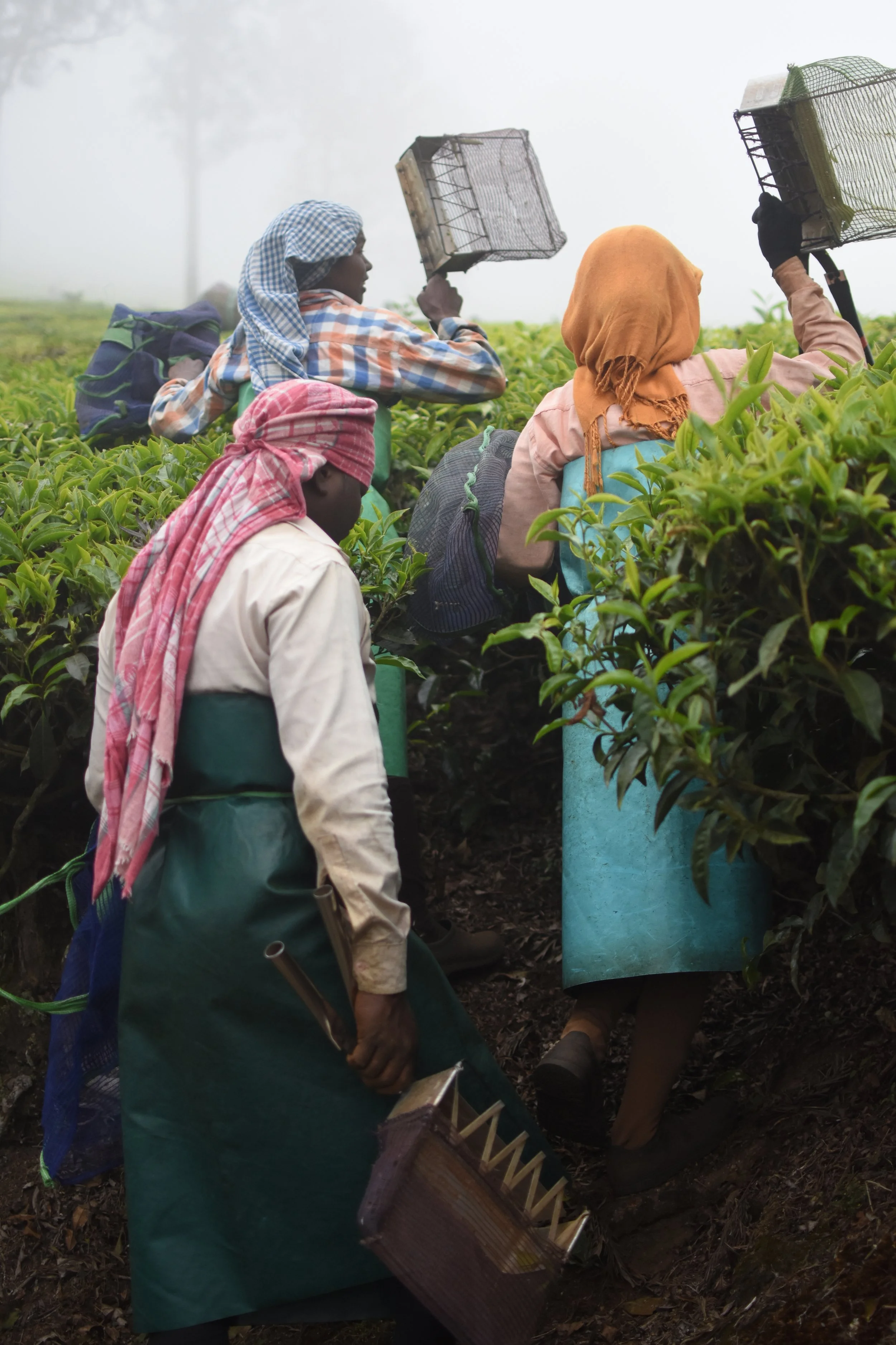 Cinema and civil society; EMPOWERING VOICES IN A GLOBALISED WORLD.