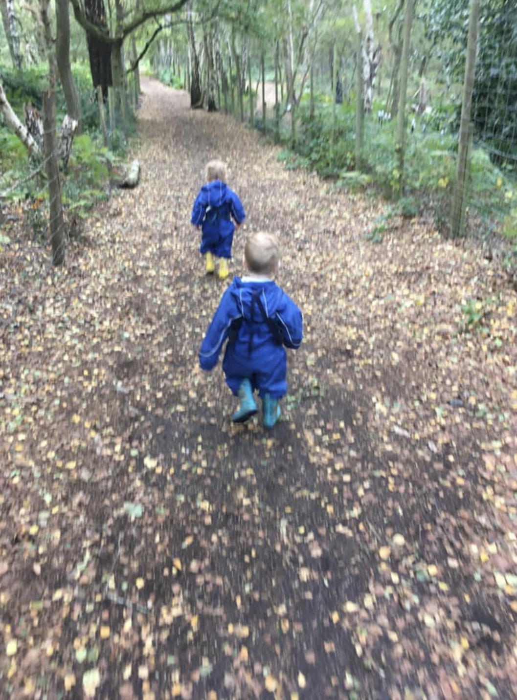 Two children walking on a leaf-covered forest path, wearing blue rain jackets and boots.