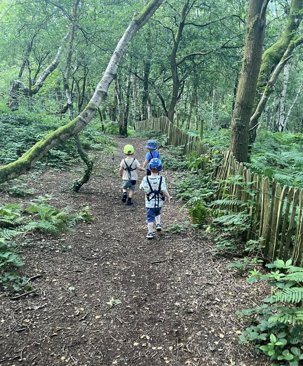Three young children walking on a dirt trail through a dense, green forest with tall trees and lush undergrowth, along a wooden fence.
