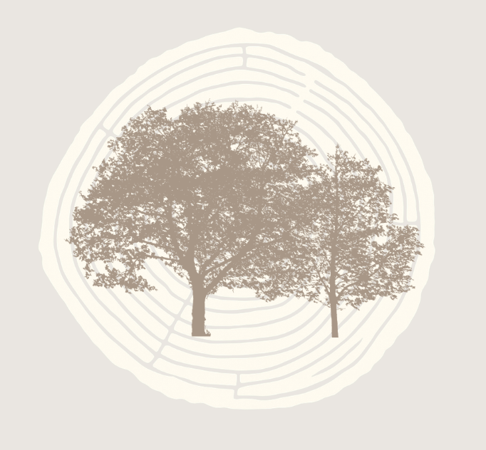 Silhouette of two trees, one larger and one smaller, against a background resembling tree rings.