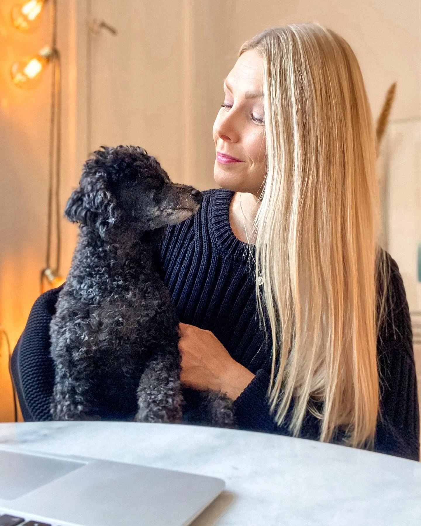 Hei meill&auml;h&auml;n on t&auml;n&auml;&auml;n Taimin kaa vuosip&auml;iv&auml;!

Tasan vuos sitten t&auml;&auml; sulonen villapylly l&auml;hti mun matkaan junalla Pohjanmaalta (kuva 2 ikuistettu ko. hetkest&auml;) ja asettu mun luo Helsinkiin asust