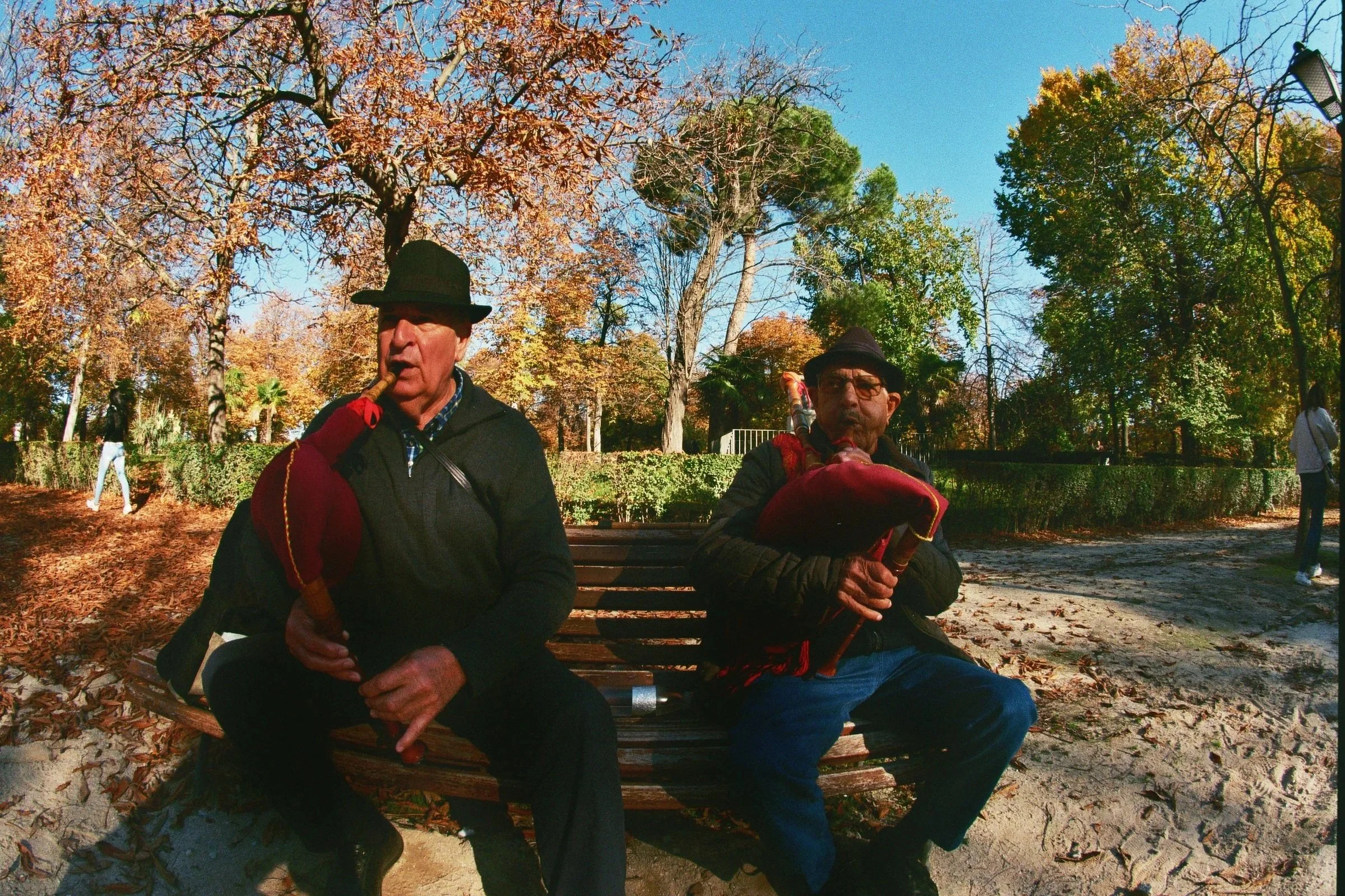 Dos hombres mayores tocando duduk en un parque rodeados de árboles con hojas otoñales.