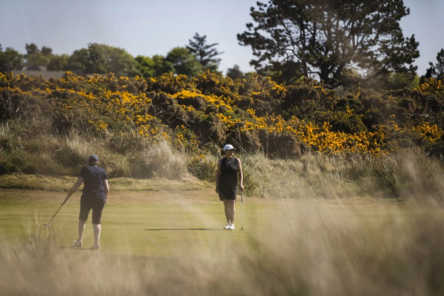 Two people playing golf on a course with grassy terrain and bushes with yellow flowers in the background.